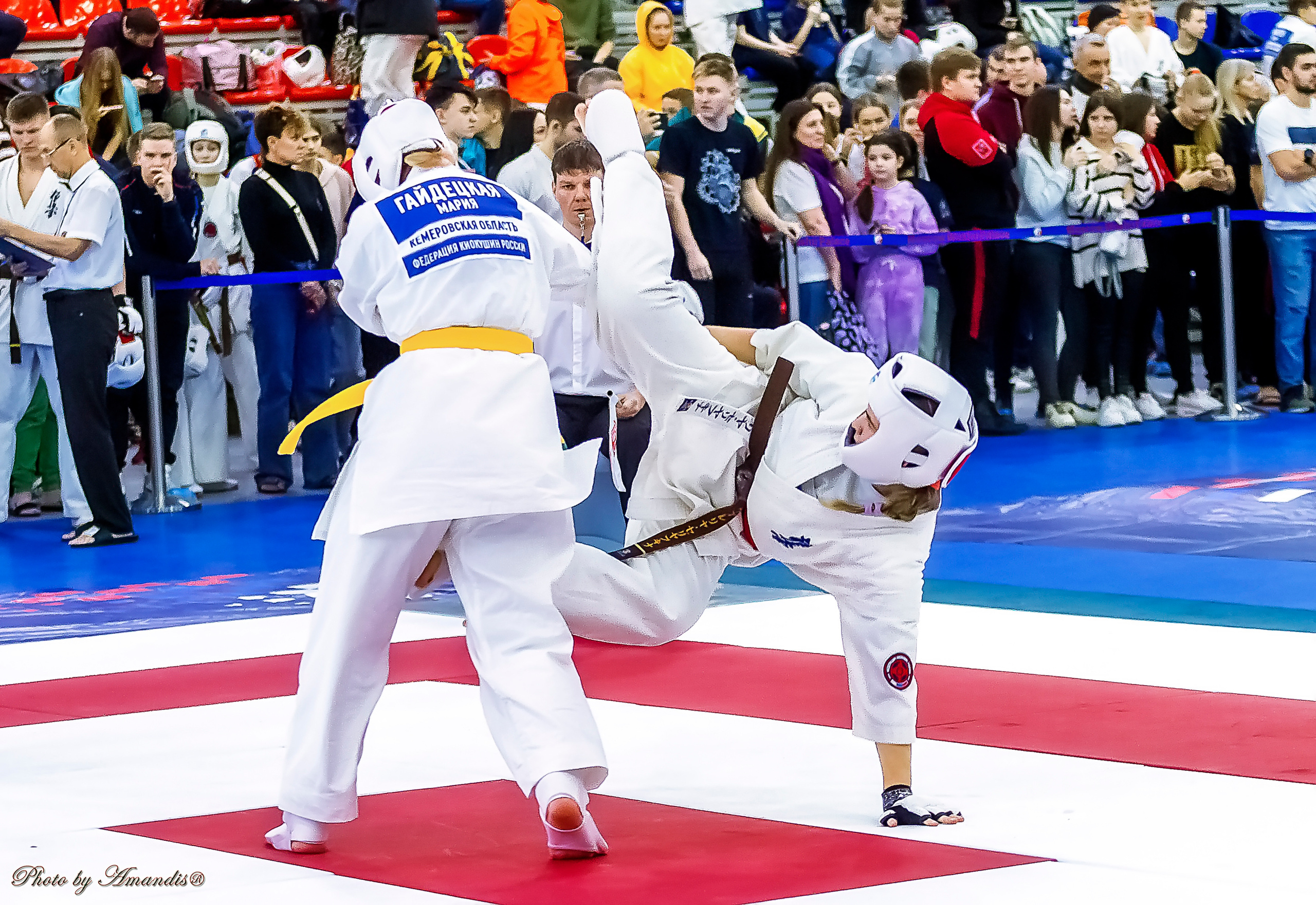 Чемпионат России по Киокушинкай (ноябрь 2022). Репортажная съемка в Москве и области. Анималистика