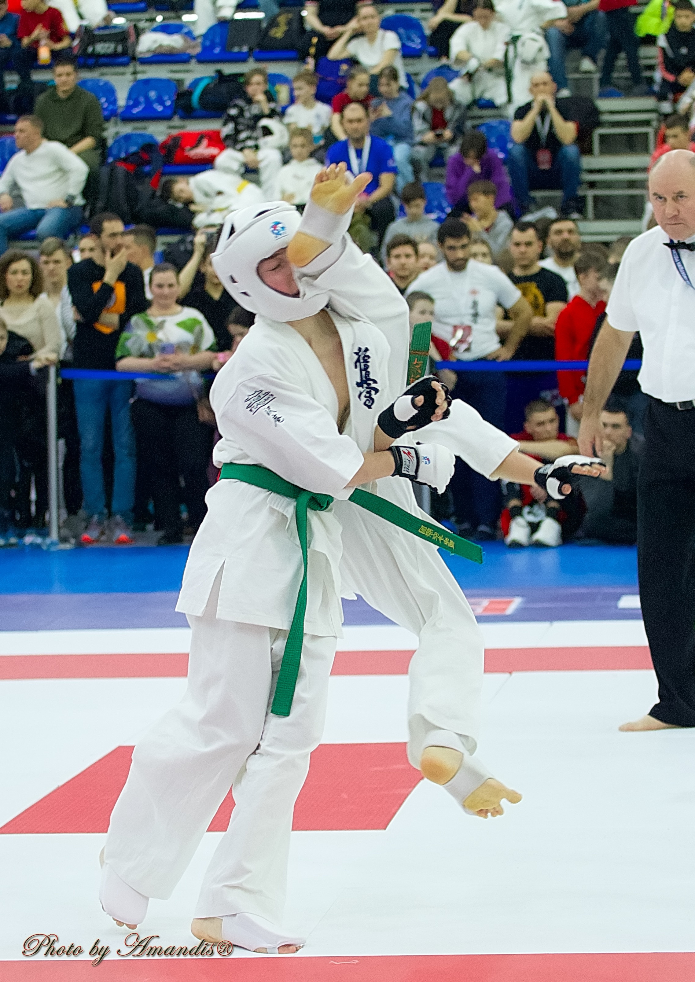 Чемпионат России по Киокушин. Репортажная съемка в Москве и области. Анималистика