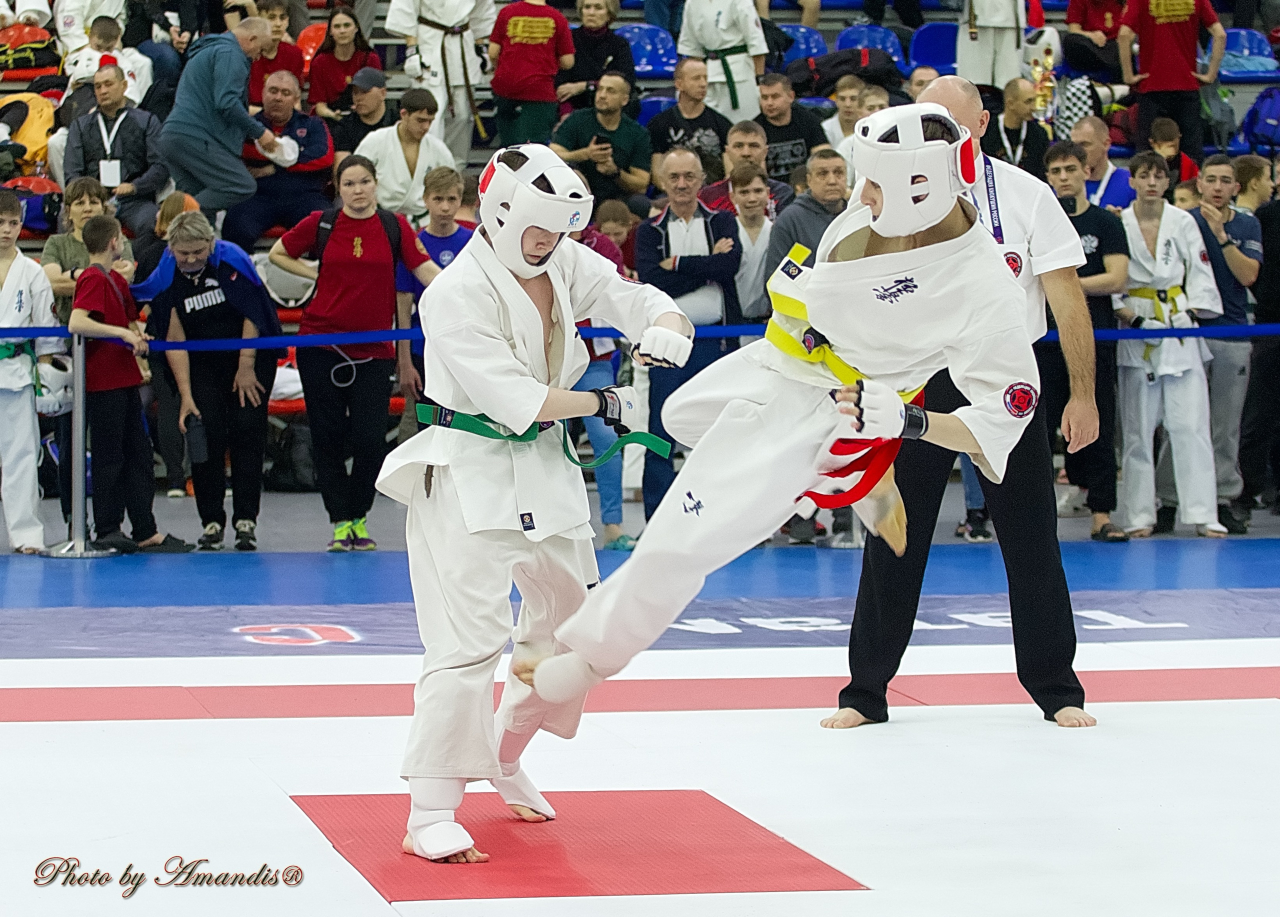 Чемпионат России по Киокушин. Репортажная съемка в Москве и области. Анималистика