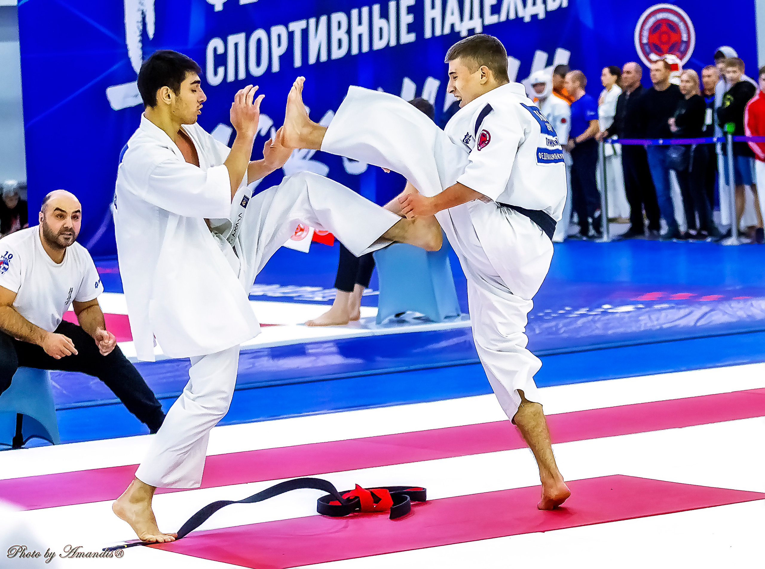 Чемпионат России по Киокушинкай (ноябрь 2022). Репортажная съемка в Москве и области. Анималистика