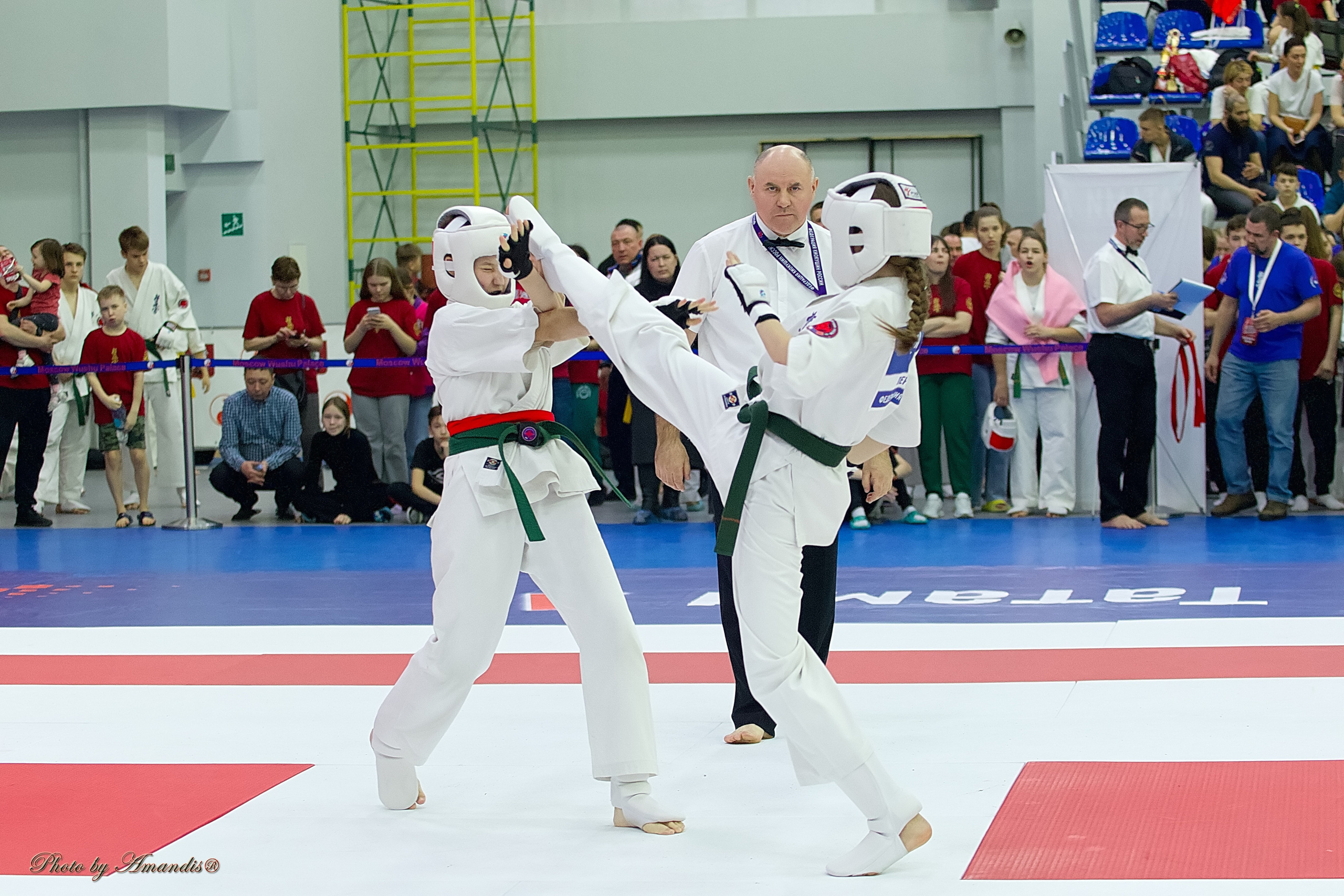 Чемпионат России по Киокушин. Репортажная съемка в Москве и области. Анималистика