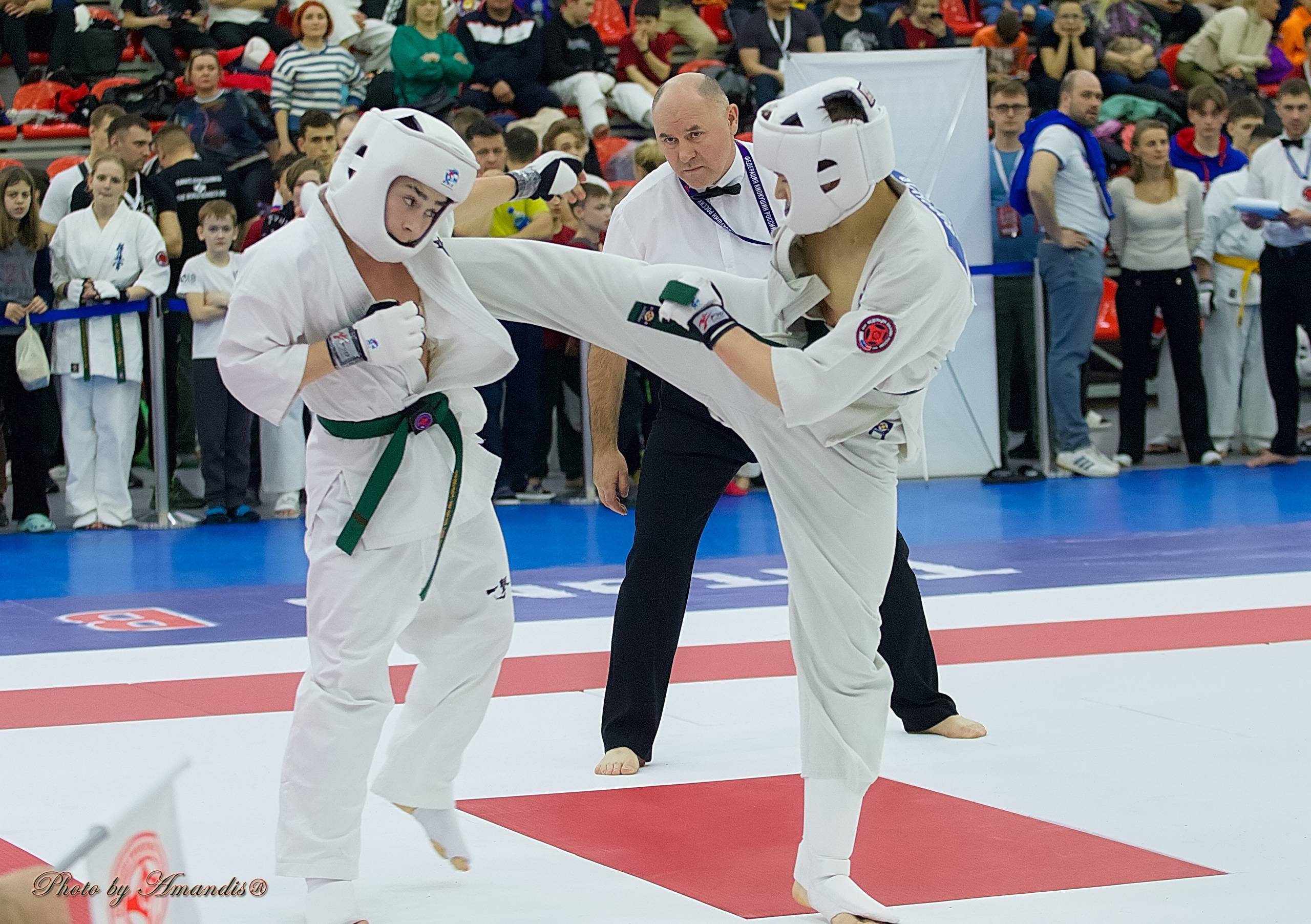 Чемпионат России по Киокушин. Репортажная съемка в Москве и области. Анималистика