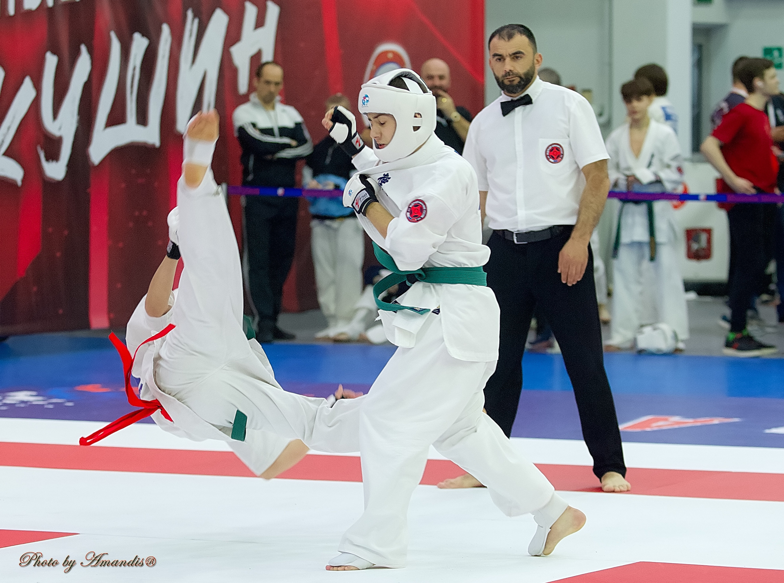 Чемпионат России по Киокушин. Репортажная съемка в Москве и области. Анималистика