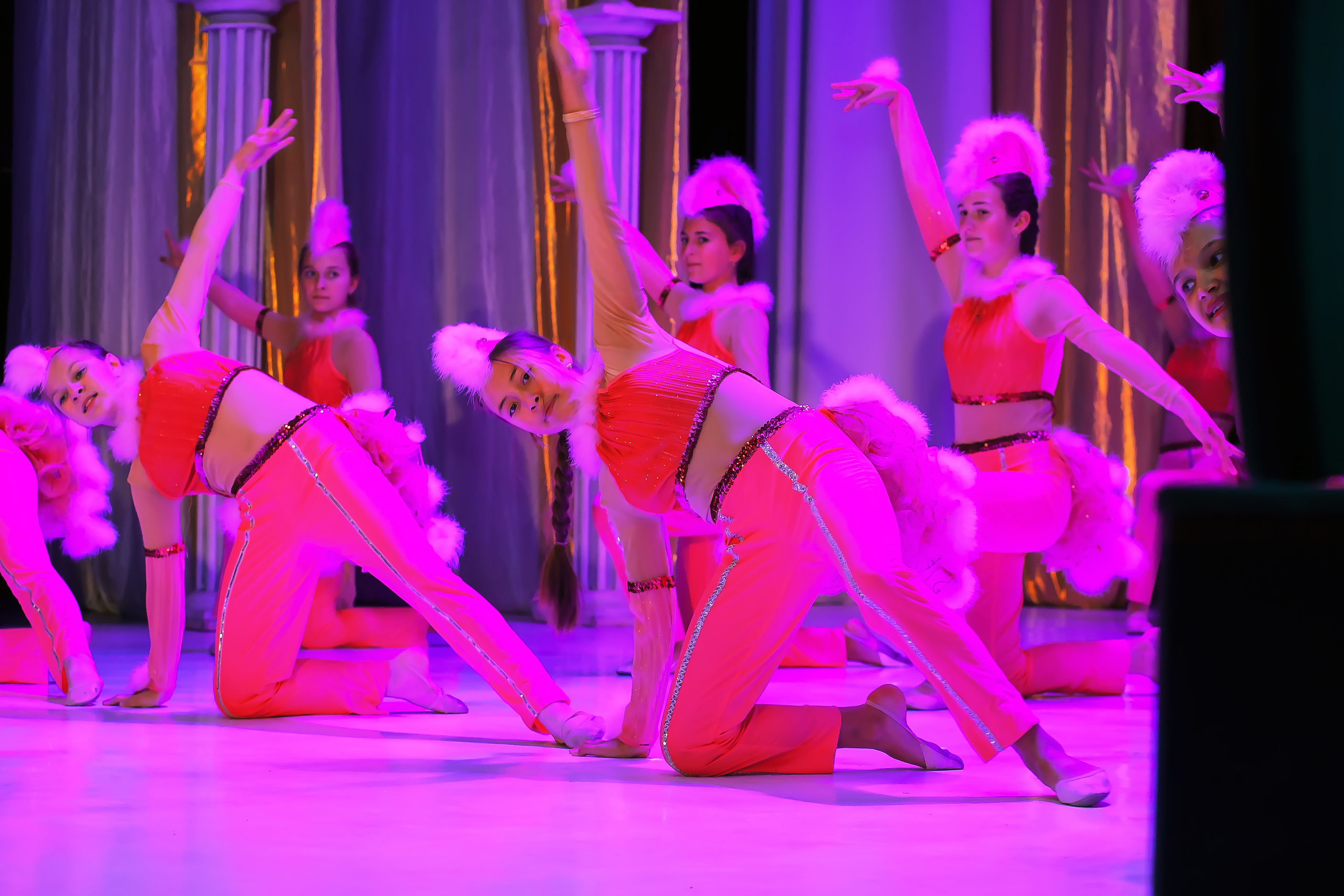 День пожилого человека. КЦ «Октябрьский» Петропавловск-Камчатский. Репортажная съемка в Москве и области. Анималистика