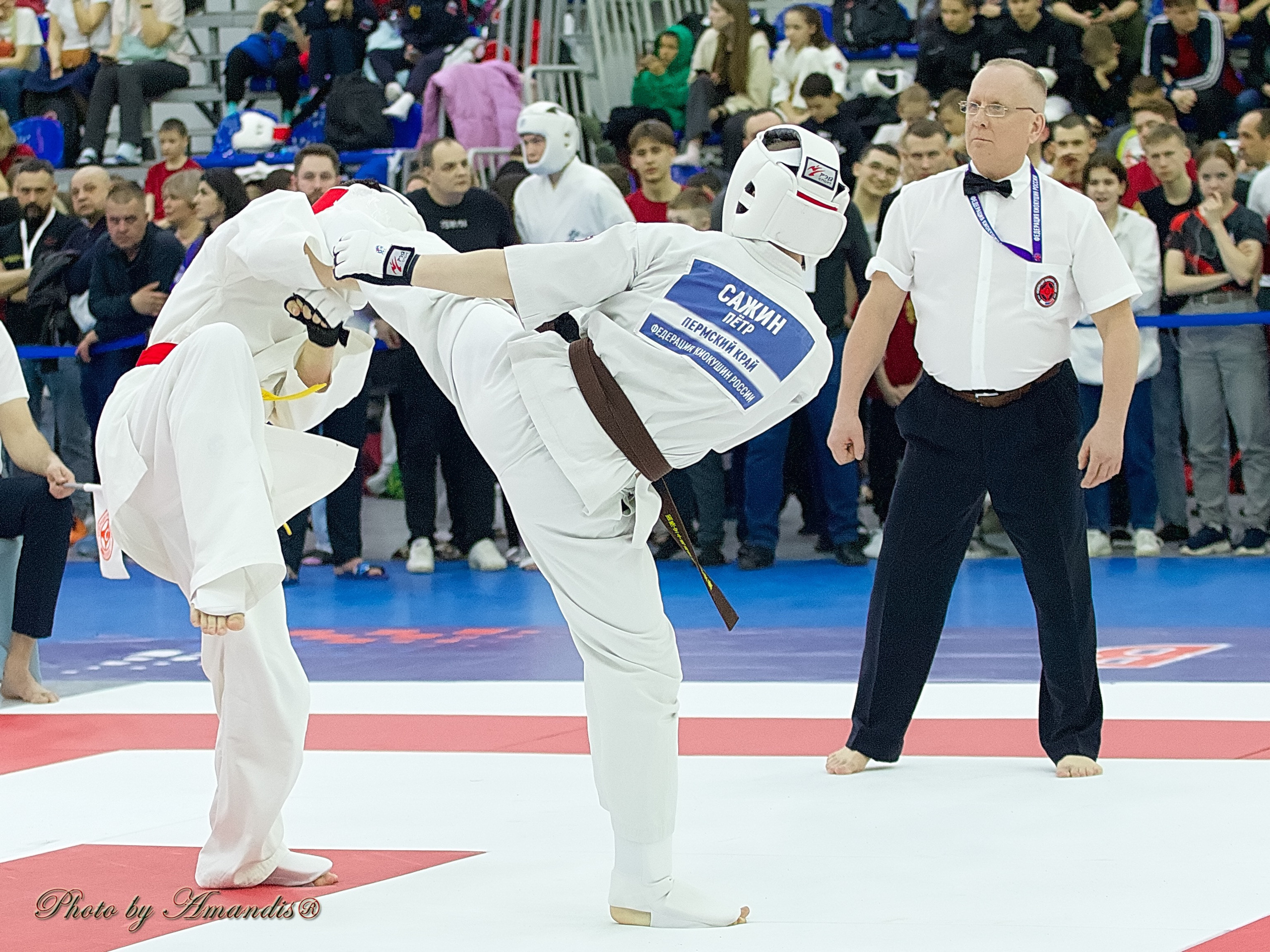 Чемпионат России по Киокушин. Репортажная съемка в Москве и области. Анималистика