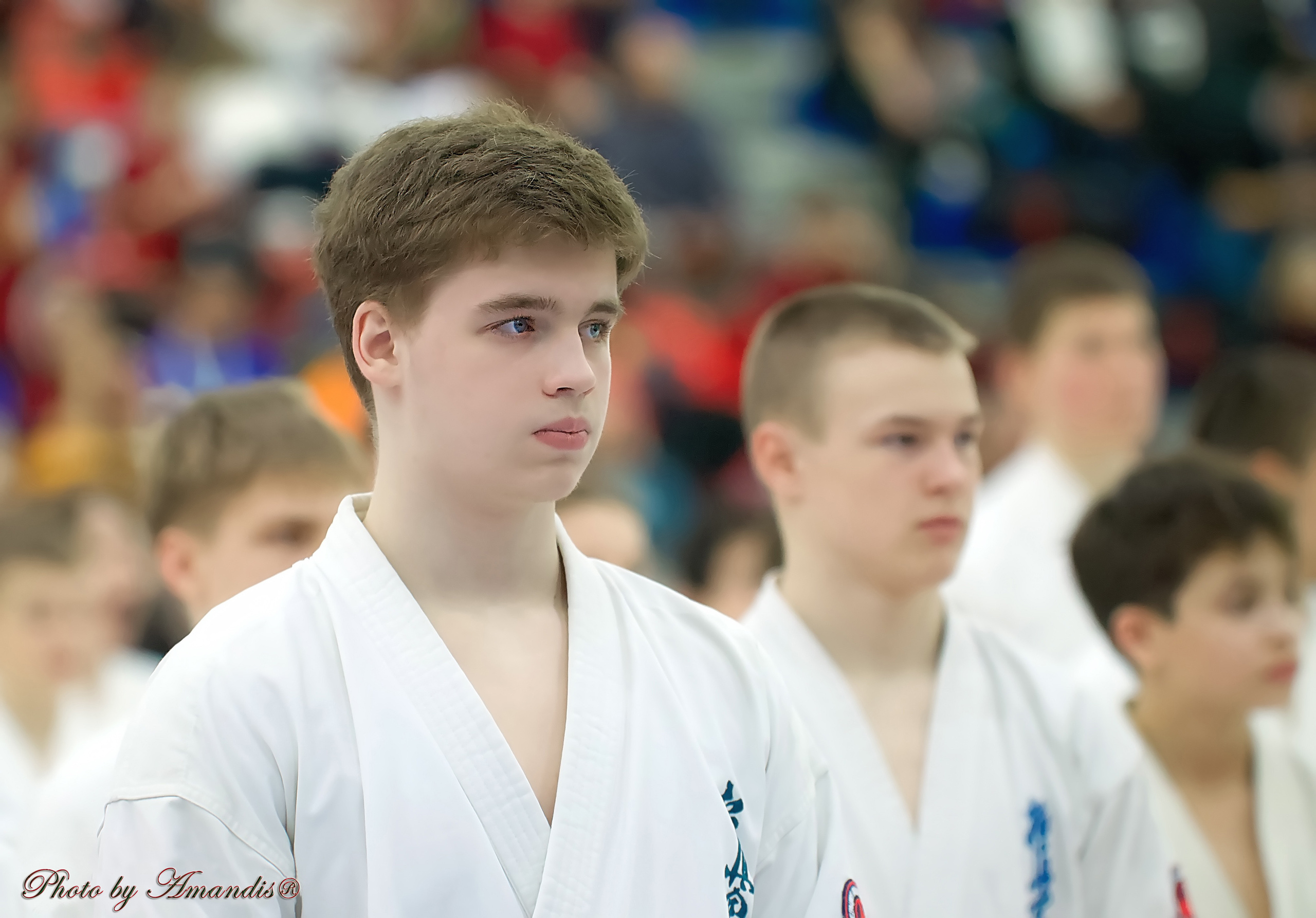 Чемпионат России по Киокушин. Репортажная съемка в Москве и области. Анималистика