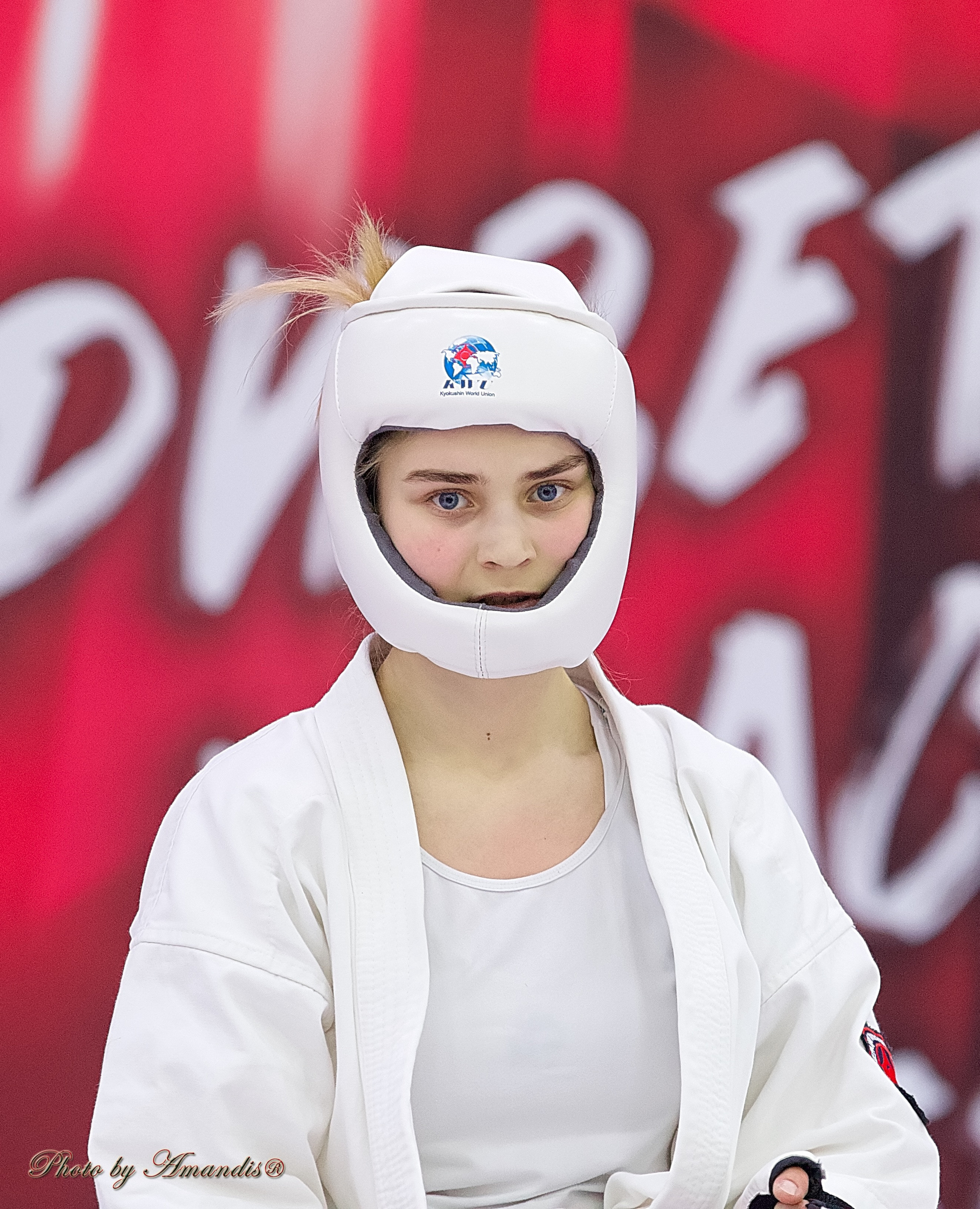 Чемпионат России по Киокушин. Репортажная съемка в Москве и области. Анималистика