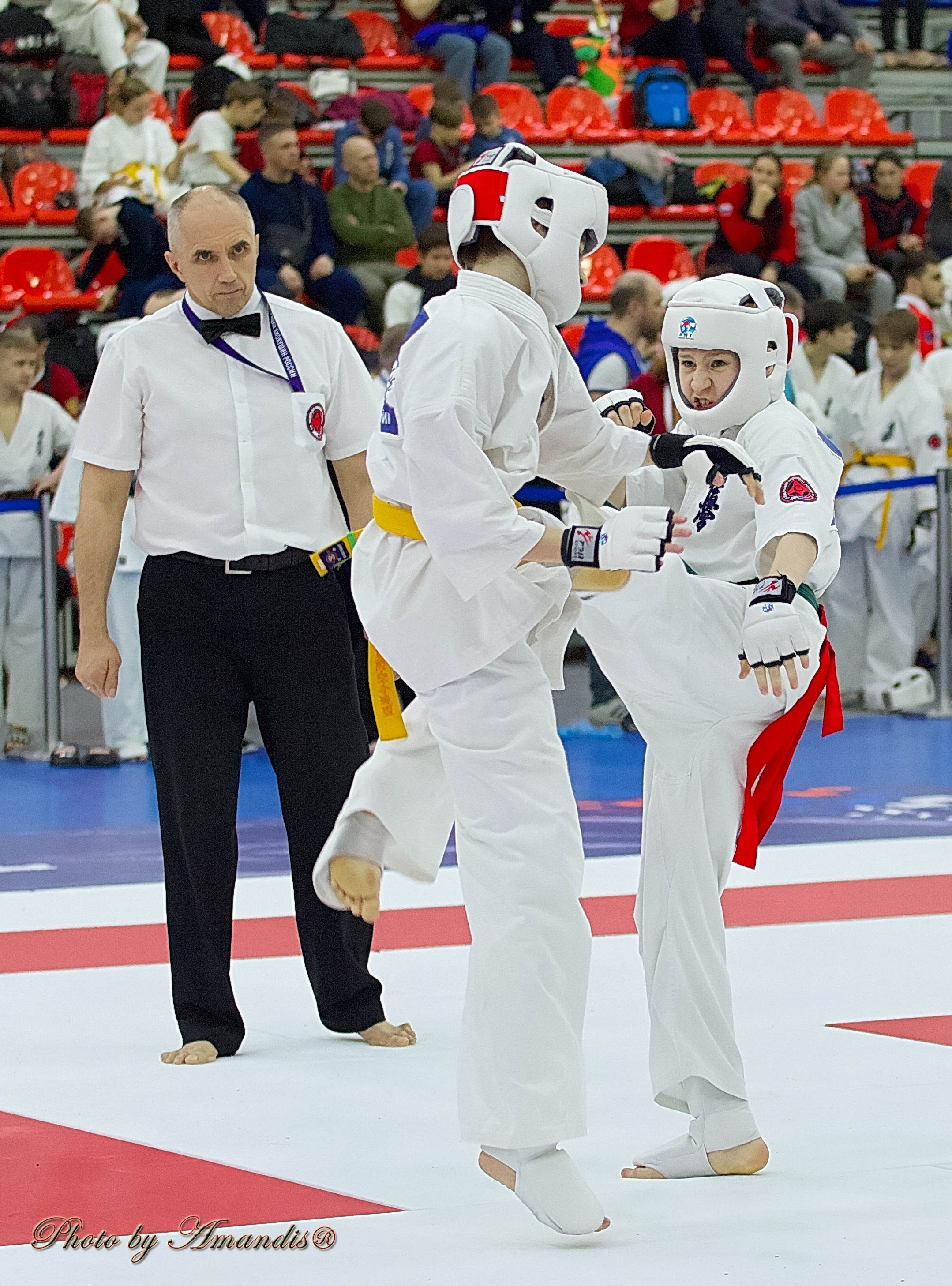 Чемпионат России по Киокушин. Репортажная съемка в Москве и области. Анималистика