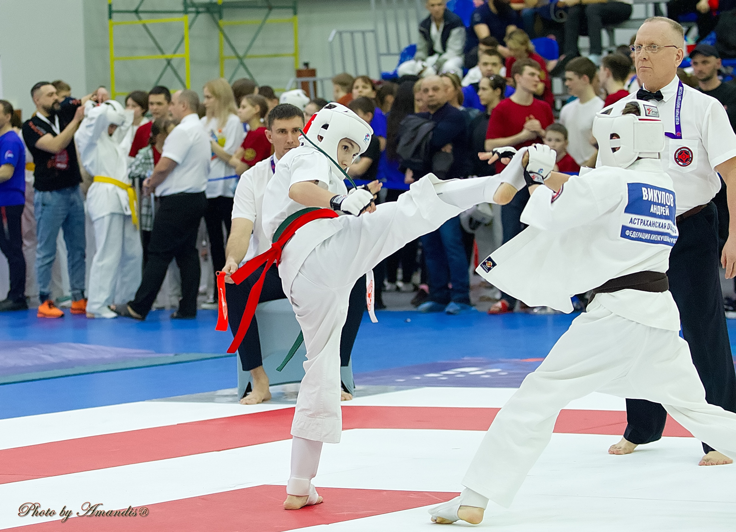 Чемпионат России по Киокушин. Репортажная съемка в Москве и области. Анималистика