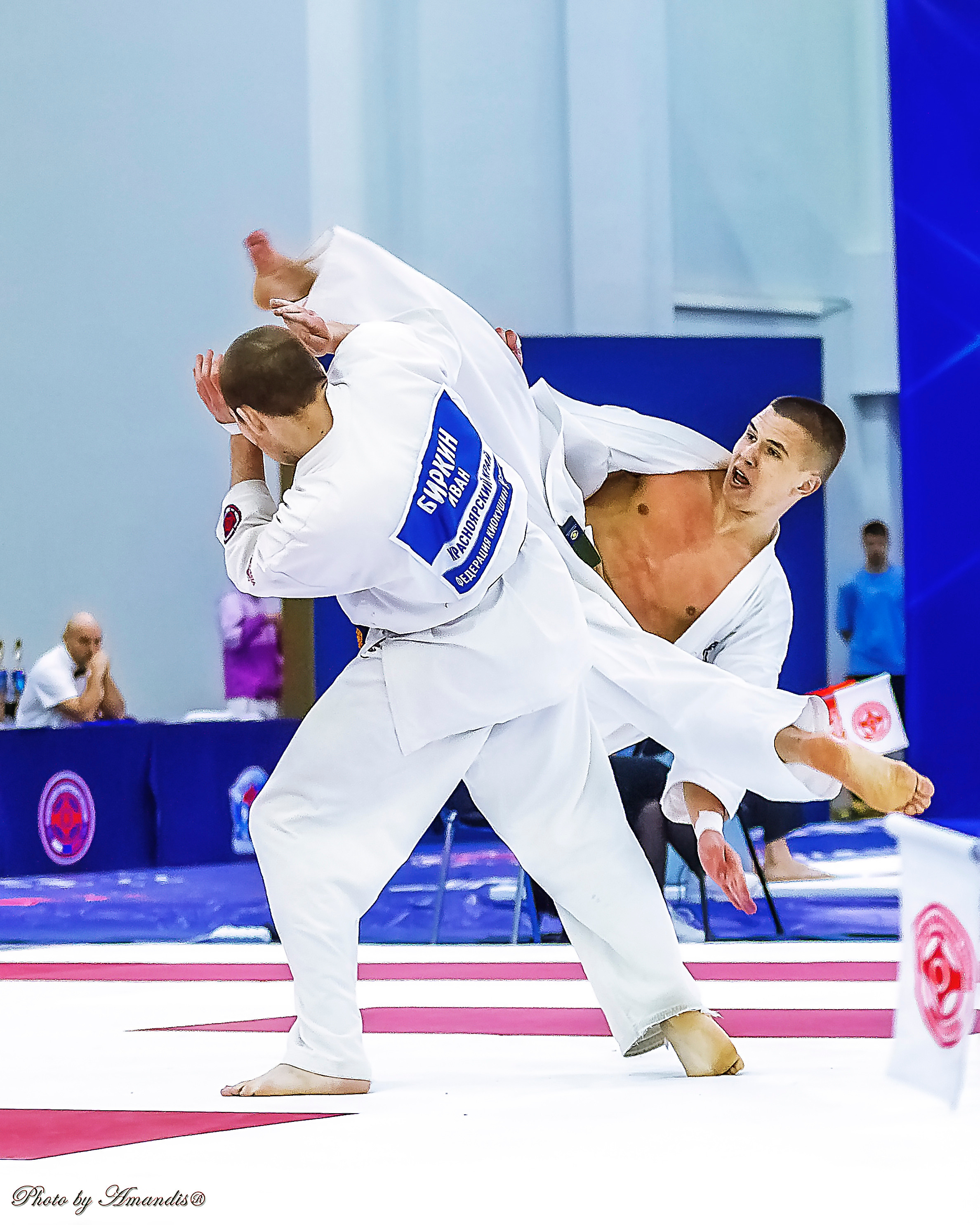 Чемпионат России по Киокушинкай (ноябрь 2022). Репортажная съемка в Москве и области. Анималистика