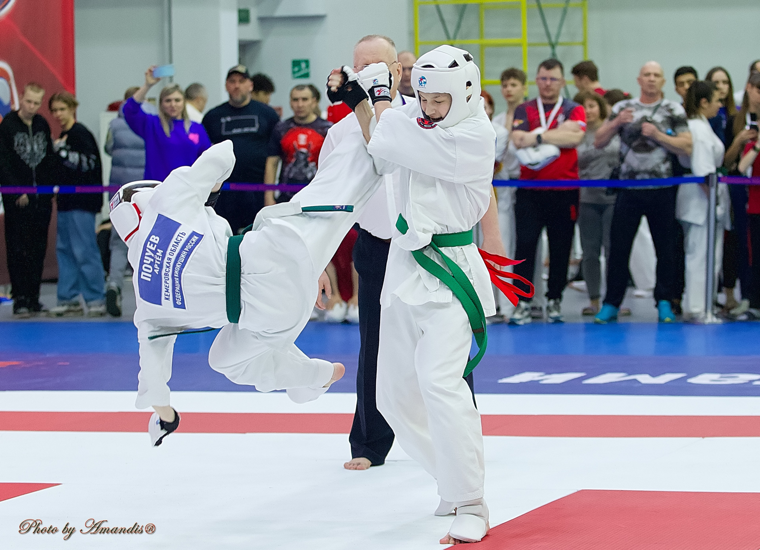 Чемпионат России по Киокушин. Репортажная съемка в Москве и области. Анималистика