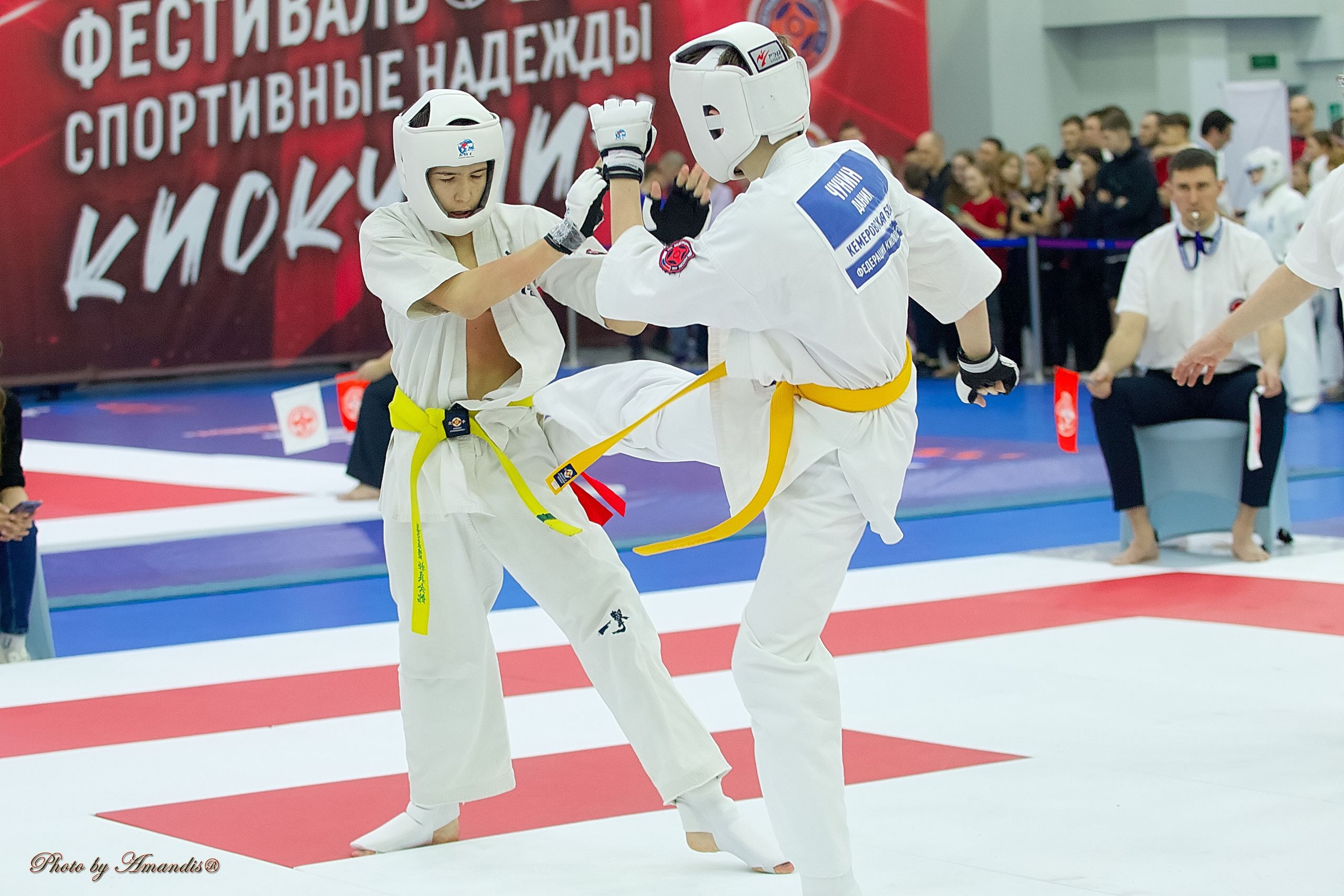 Чемпионат России по Киокушин. Репортажная съемка в Москве и области. Анималистика