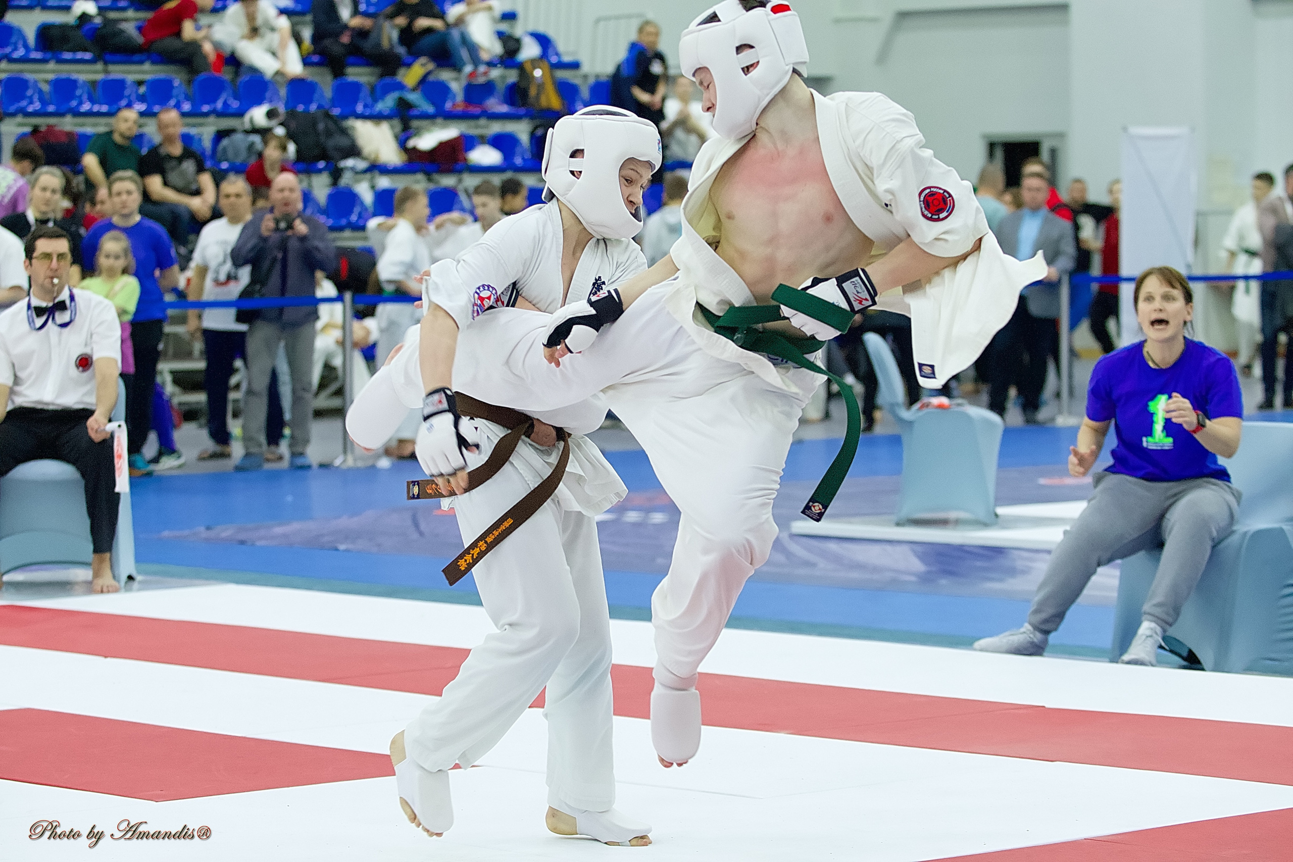 Чемпионат России по Киокушин. Репортажная съемка в Москве и области. Анималистика