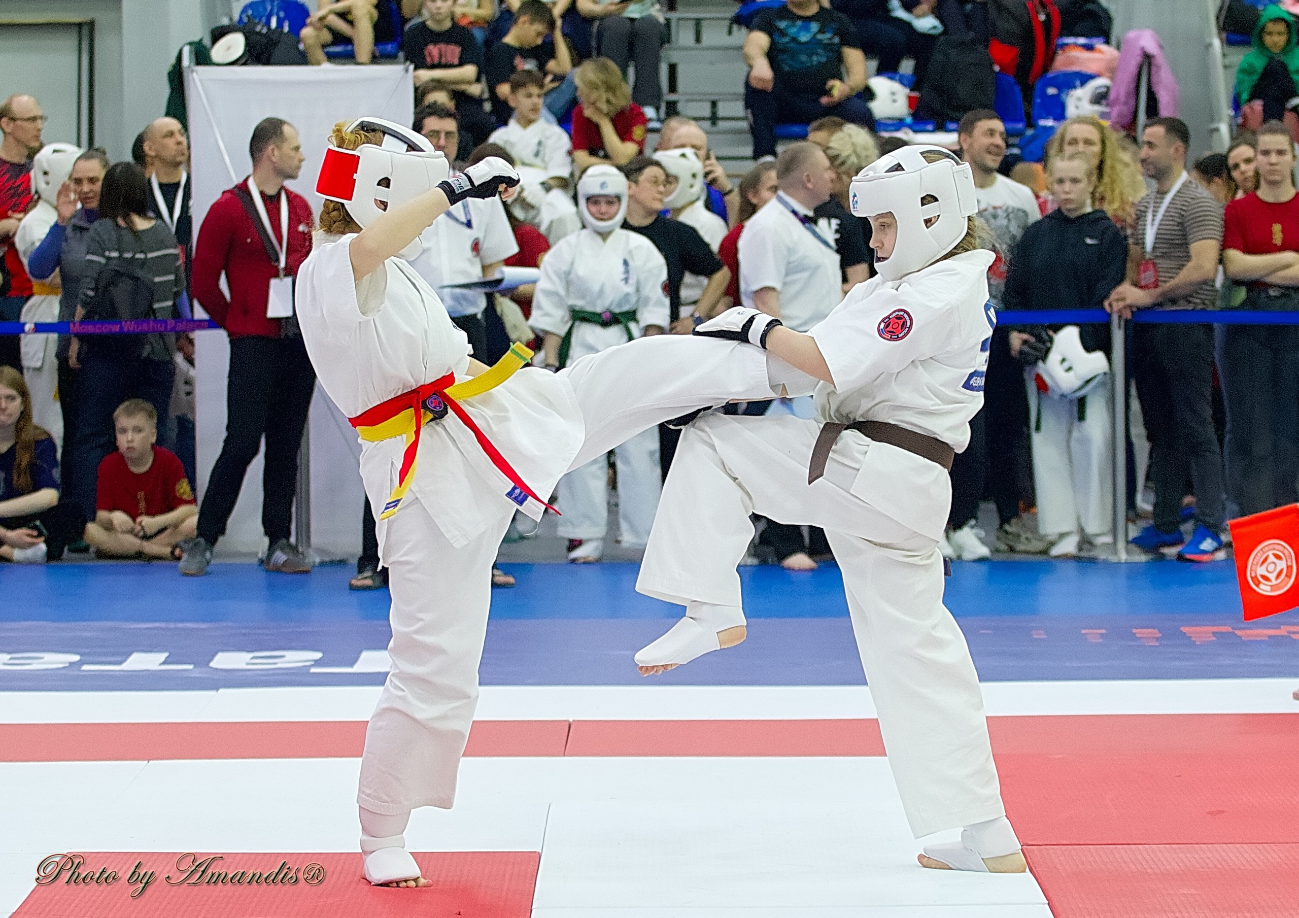 Чемпионат России по Киокушин. Репортажная съемка в Москве и области. Анималистика