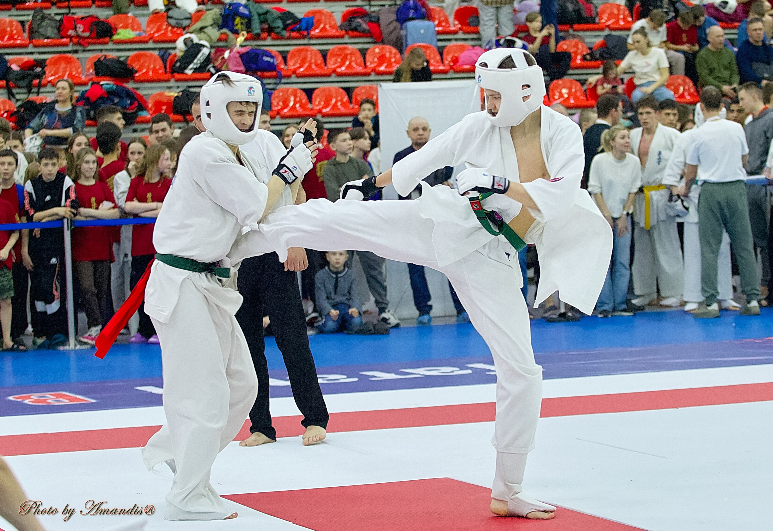 Чемпионат России по Киокушин. Репортажная съемка в Москве и области. Анималистика