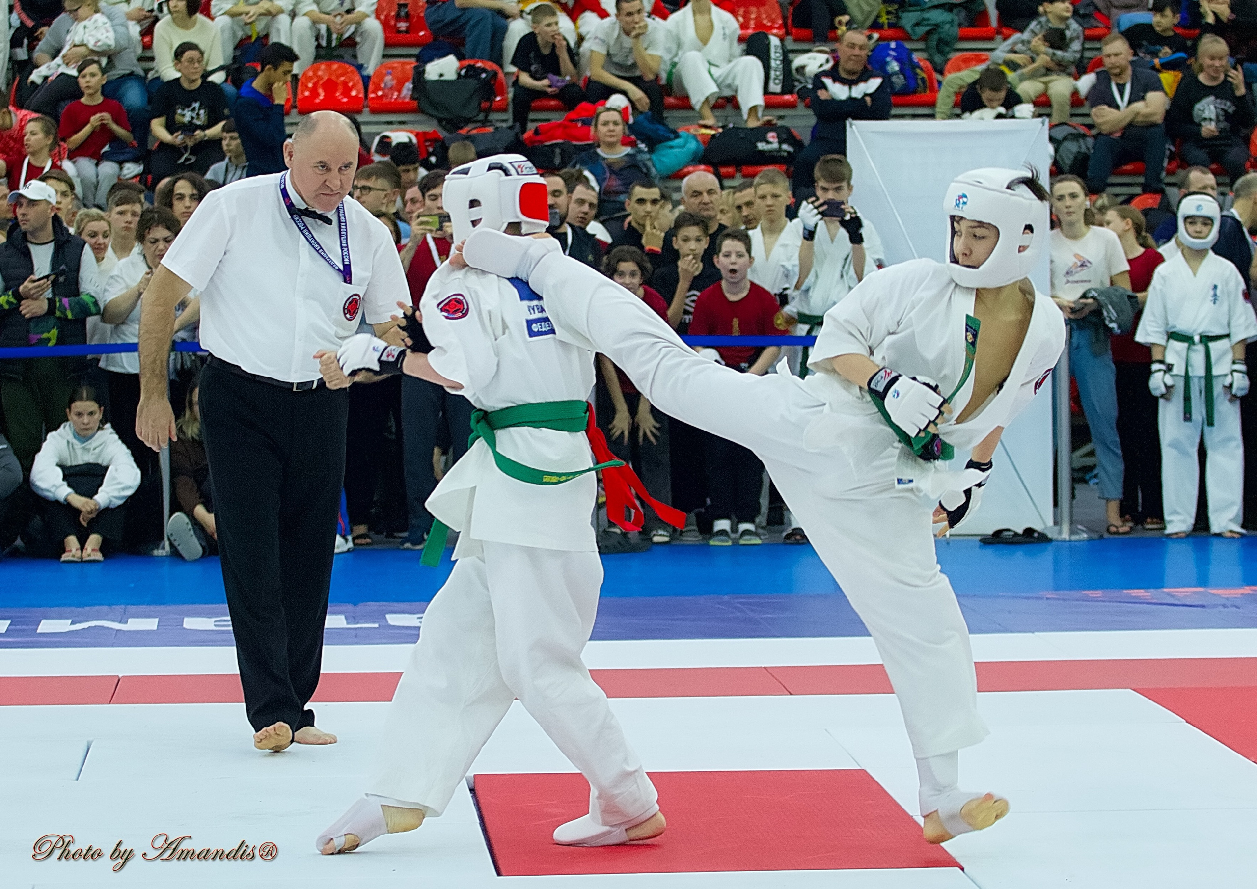 Чемпионат России по Киокушин. Репортажная съемка в Москве и области. Анималистика