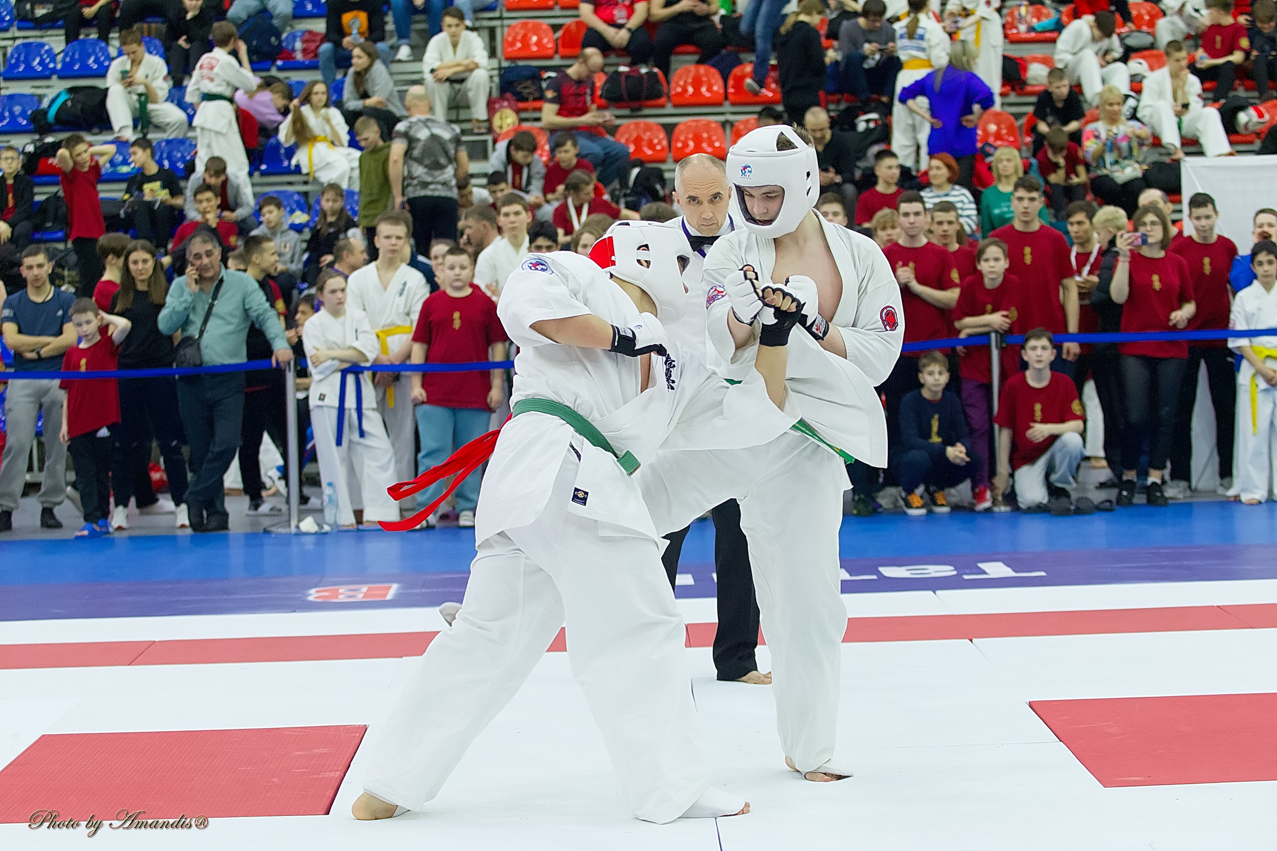 Чемпионат России по Киокушин. Репортажная съемка в Москве и области. Анималистика