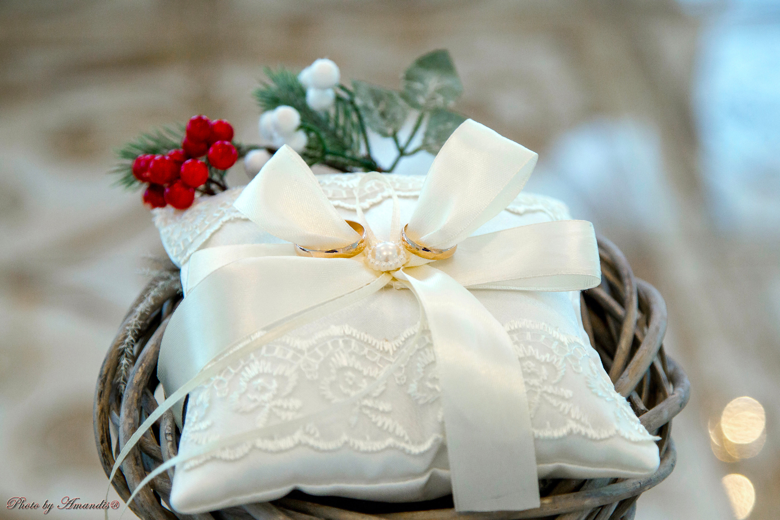 Свадьба Ивана и Марии (Петропавловск-Камчатский, январь 2019). Репортажная съемка в Москве и области. Анималистика