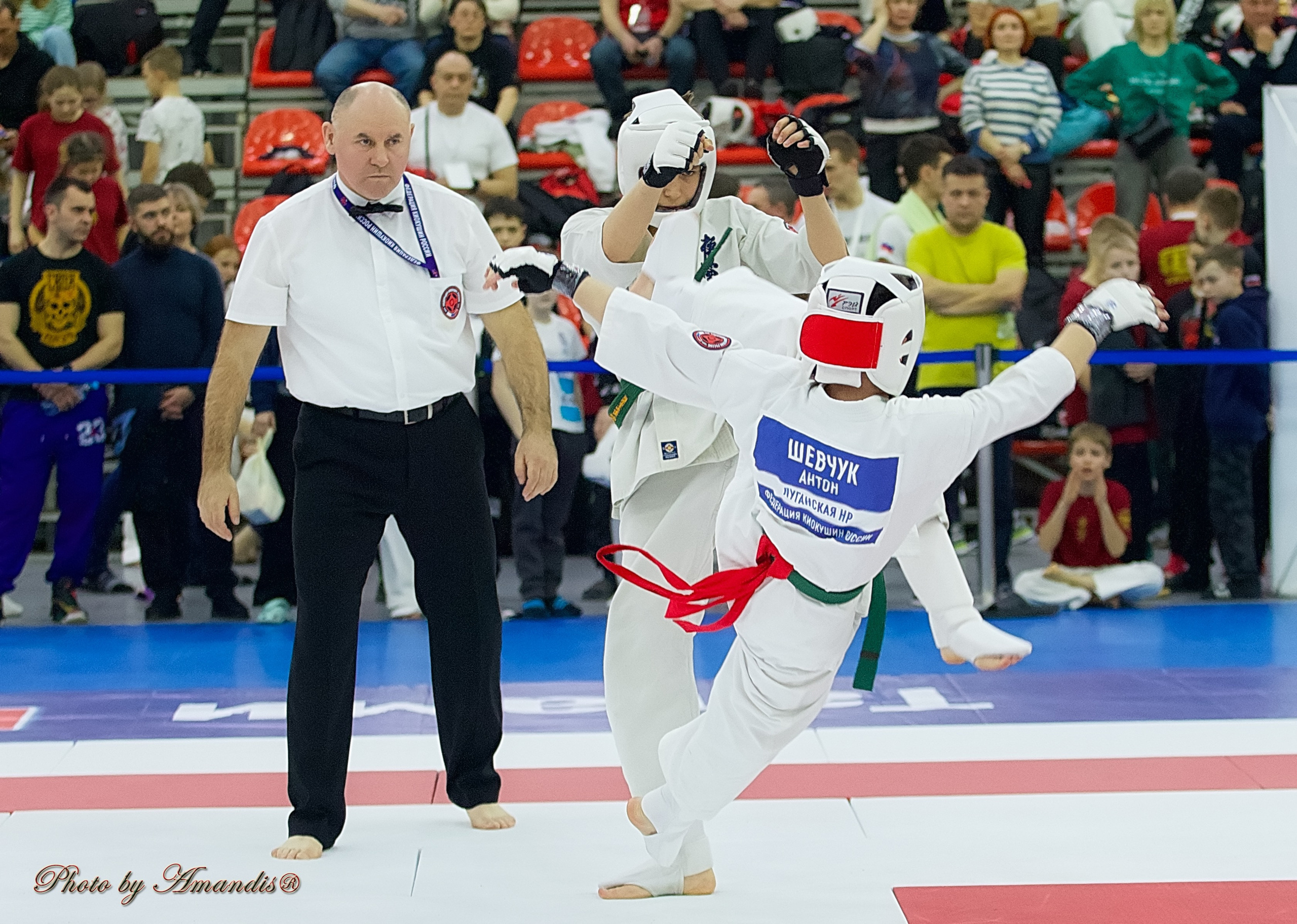 Чемпионат России по Киокушин. Репортажная съемка в Москве и области. Анималистика