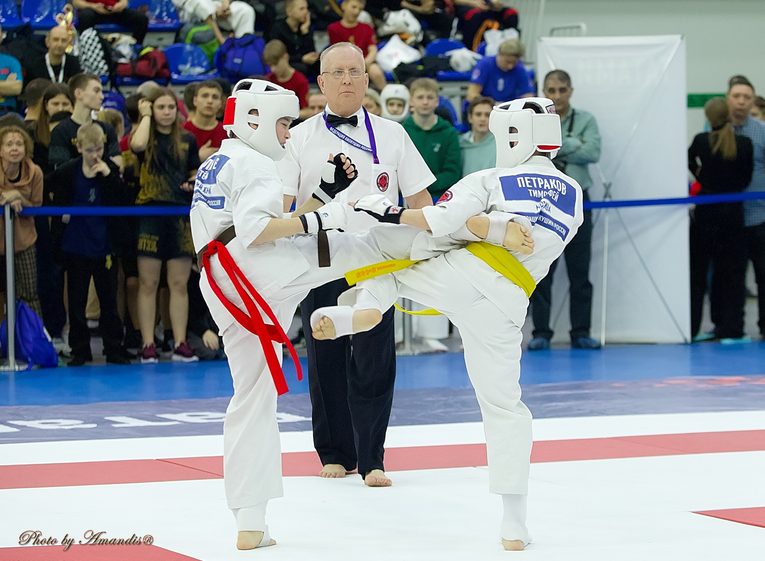 Чемпионат России по Киокушин. Репортажная съемка в Москве и области. Анималистика