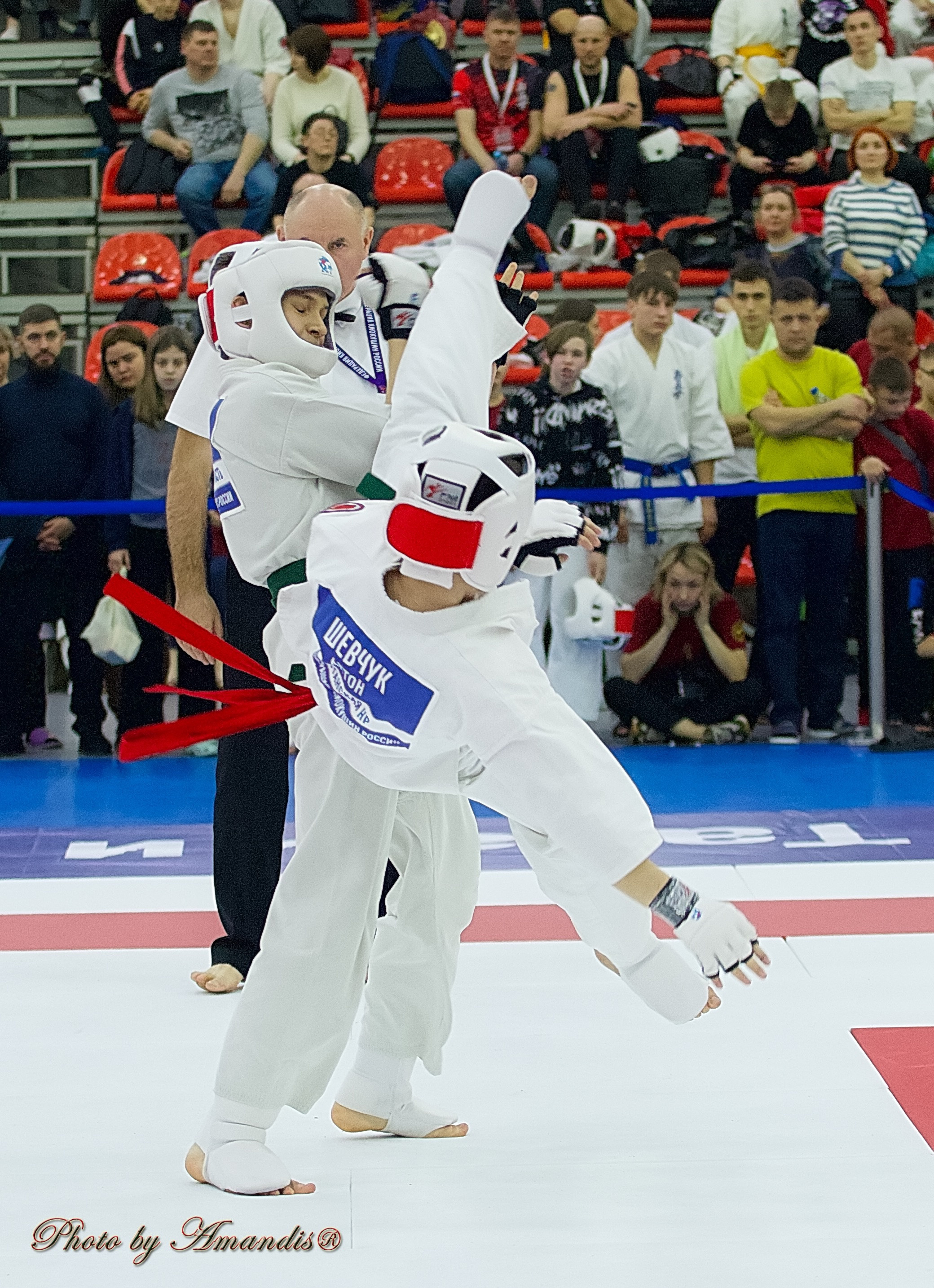 Чемпионат России по Киокушин. Репортажная съемка в Москве и области. Анималистика