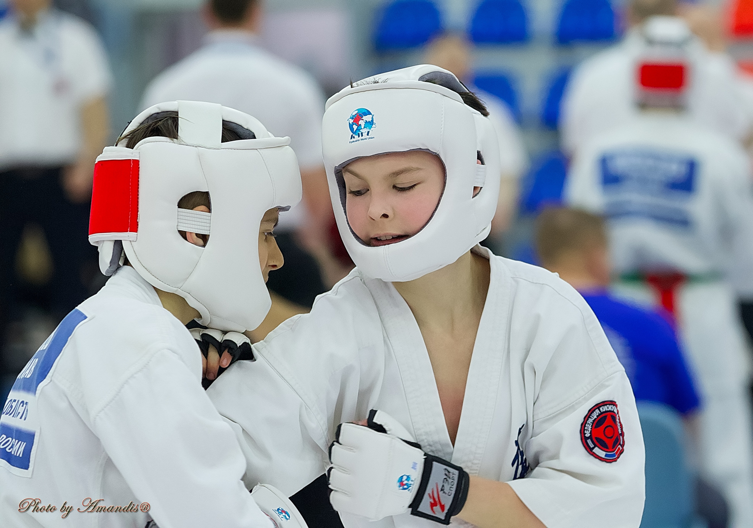 Чемпионат России по Киокушин. Репортажная съемка в Москве и области. Анималистика