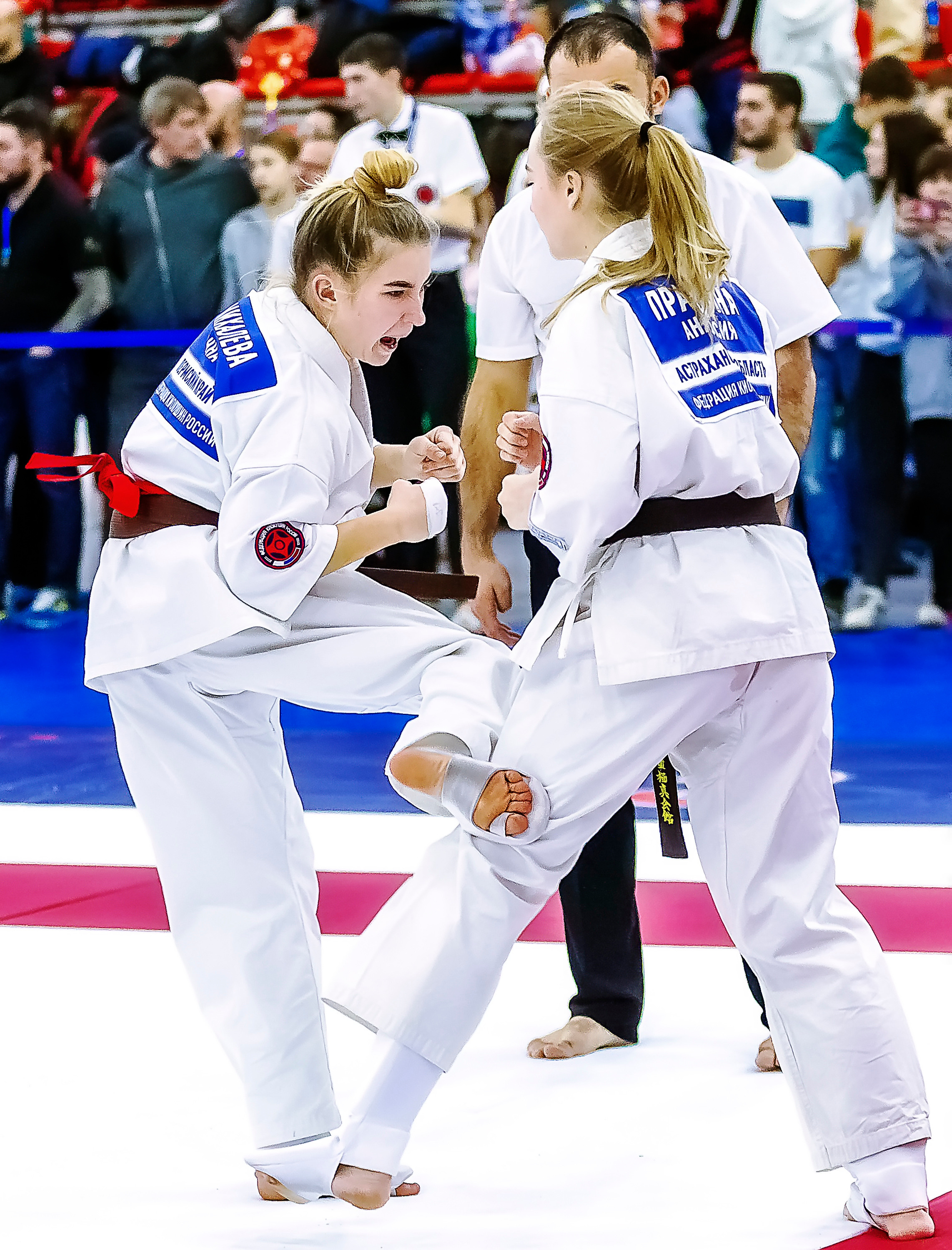 Чемпионат России по Киокушинкай (ноябрь 2022). Репортажная съемка в Москве и области. Анималистика