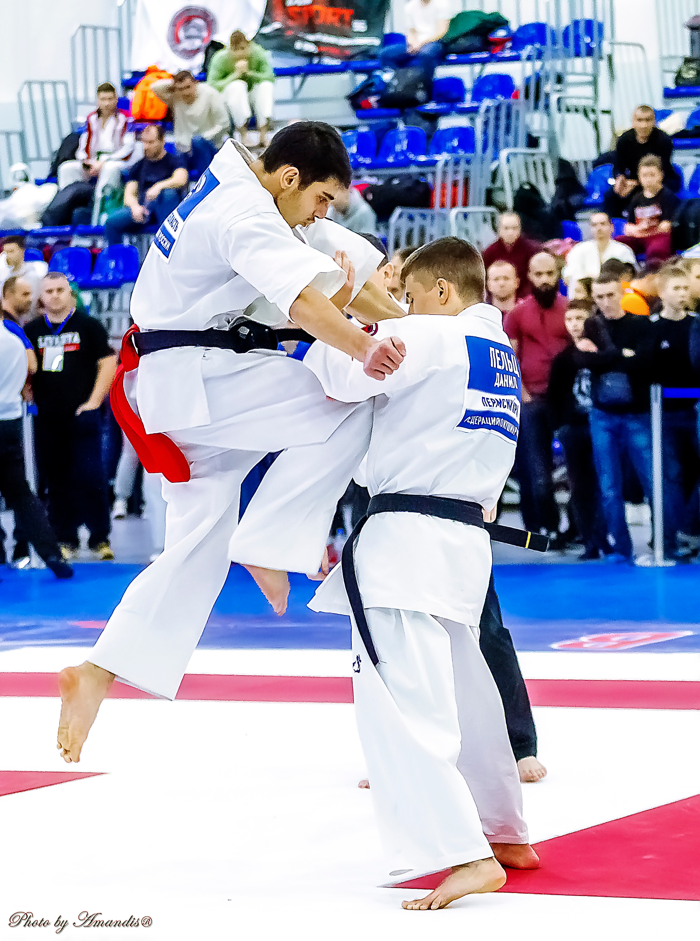 Чемпионат России по Киокушинкай (ноябрь 2022). Репортажная съемка в Москве и области. Анималистика