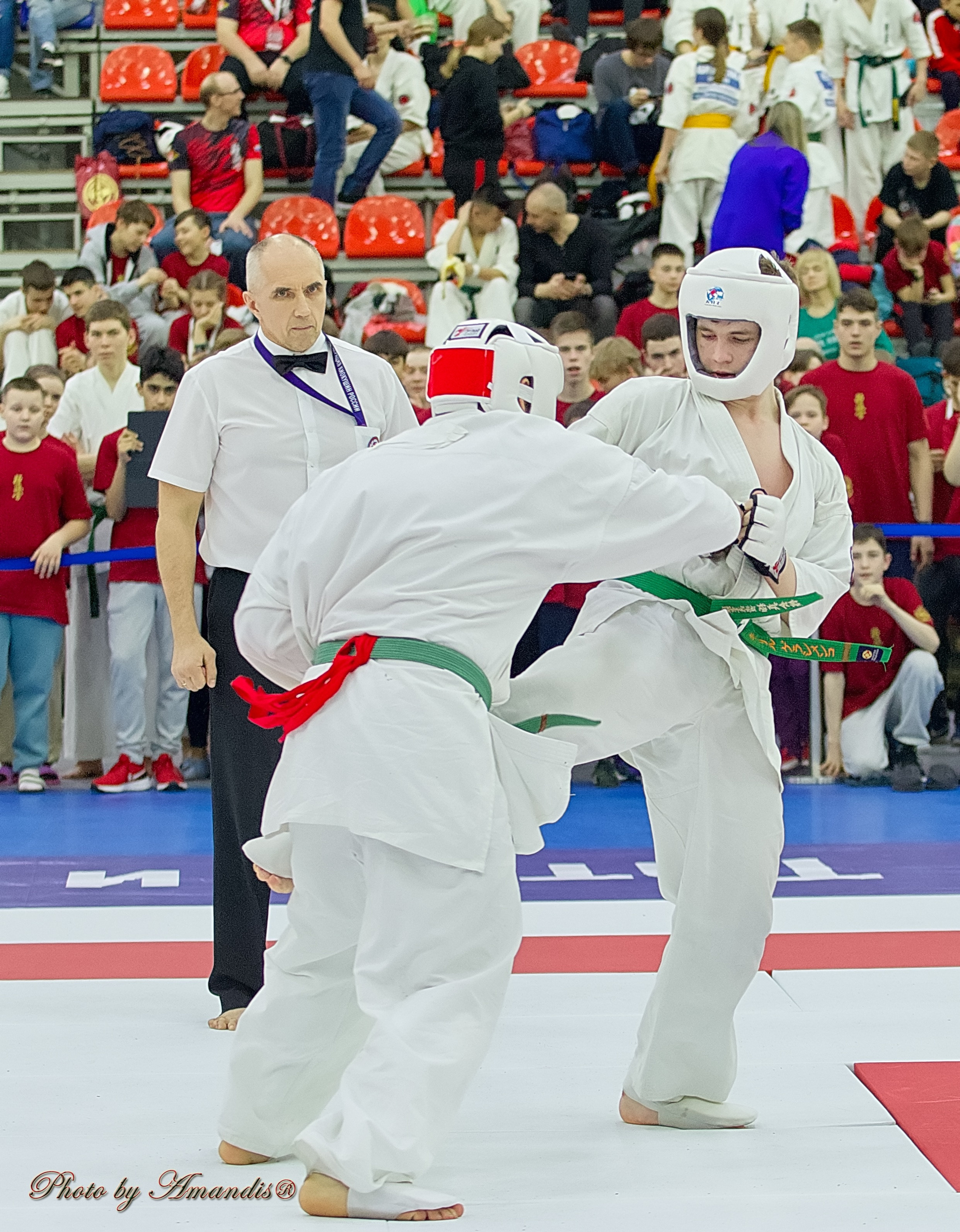 Чемпионат России по Киокушин. Репортажная съемка в Москве и области. Анималистика