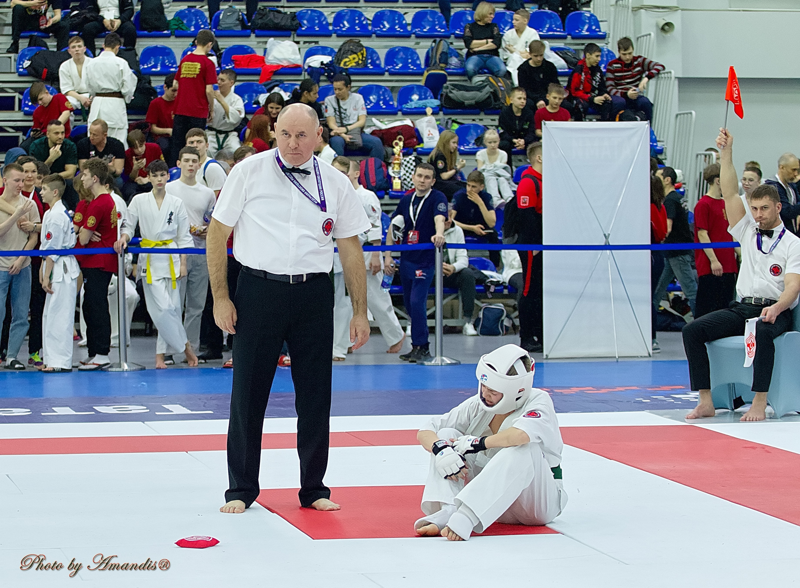 Чемпионат России по Киокушин. Репортажная съемка в Москве и области. Анималистика