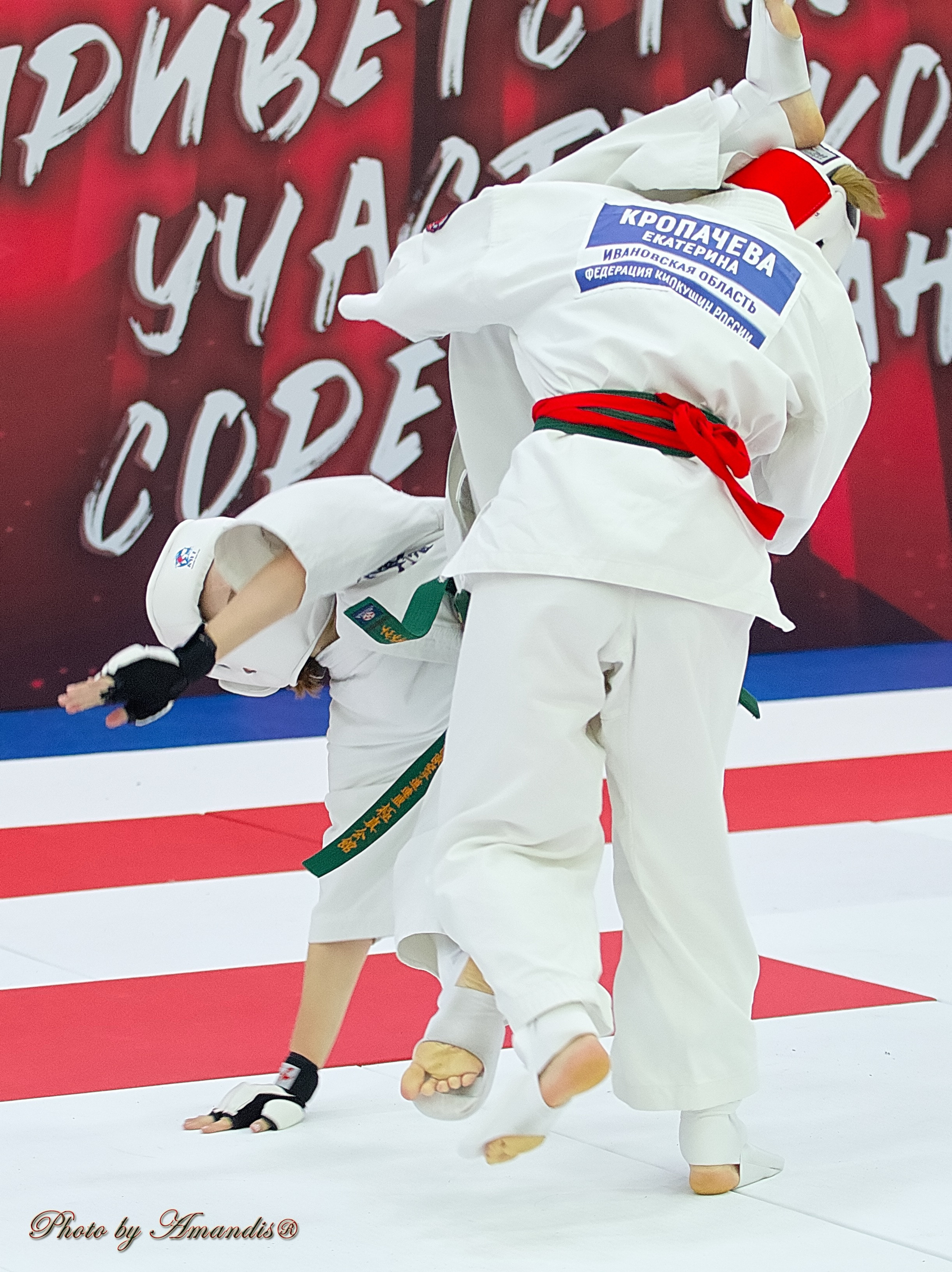 Чемпионат России по Киокушин. Репортажная съемка в Москве и области. Анималистика