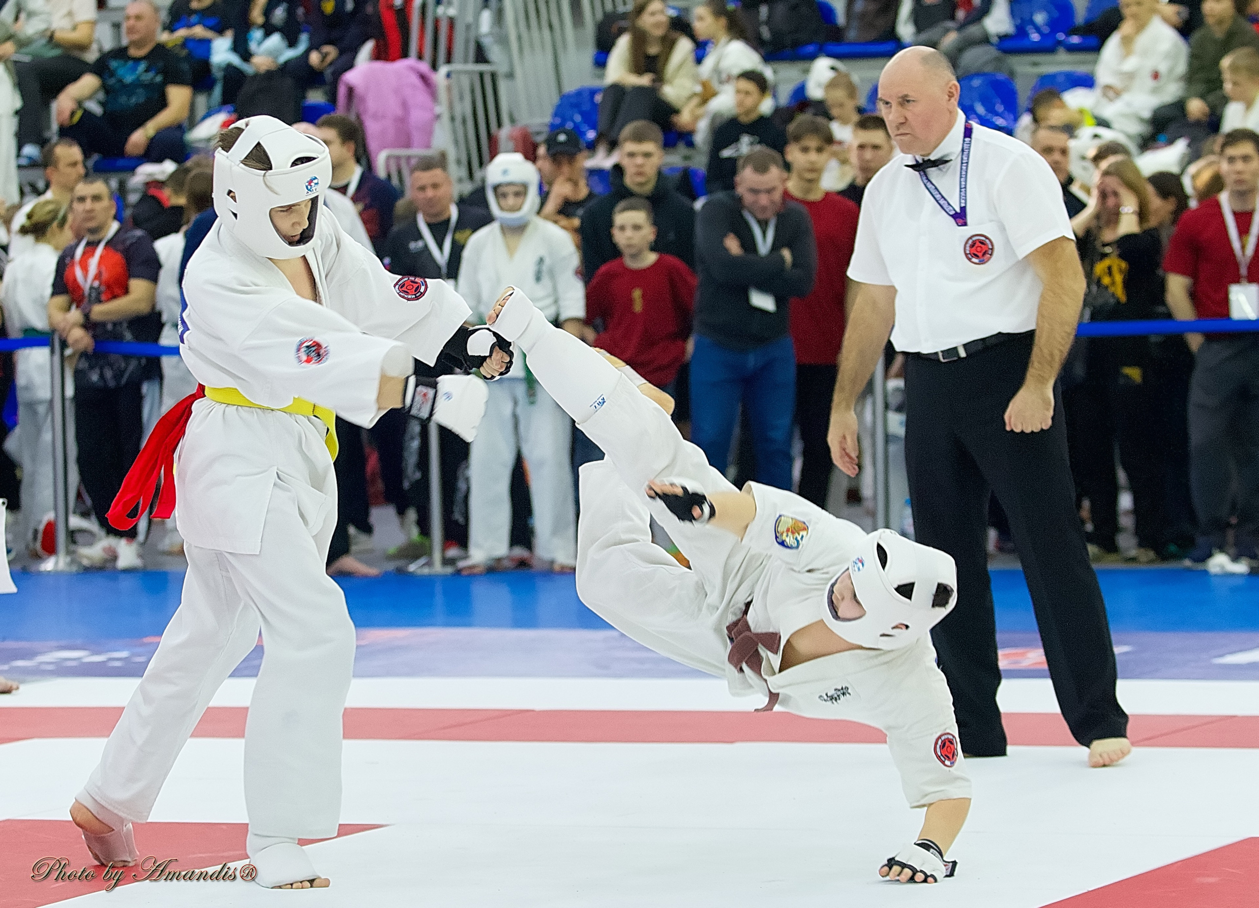 Чемпионат России по Киокушин. Репортажная съемка в Москве и области. Анималистика