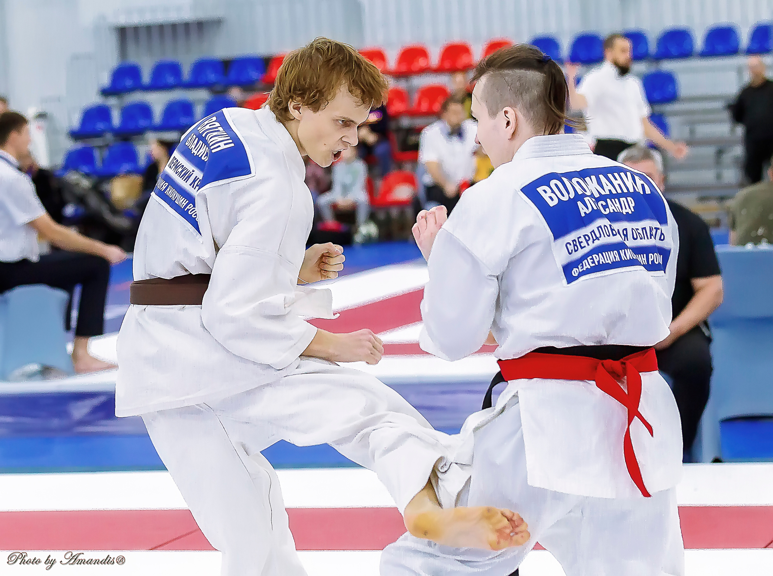 Чемпионат России по Киокушинкай (ноябрь 2022). Репортажная съемка в Москве и области. Анималистика