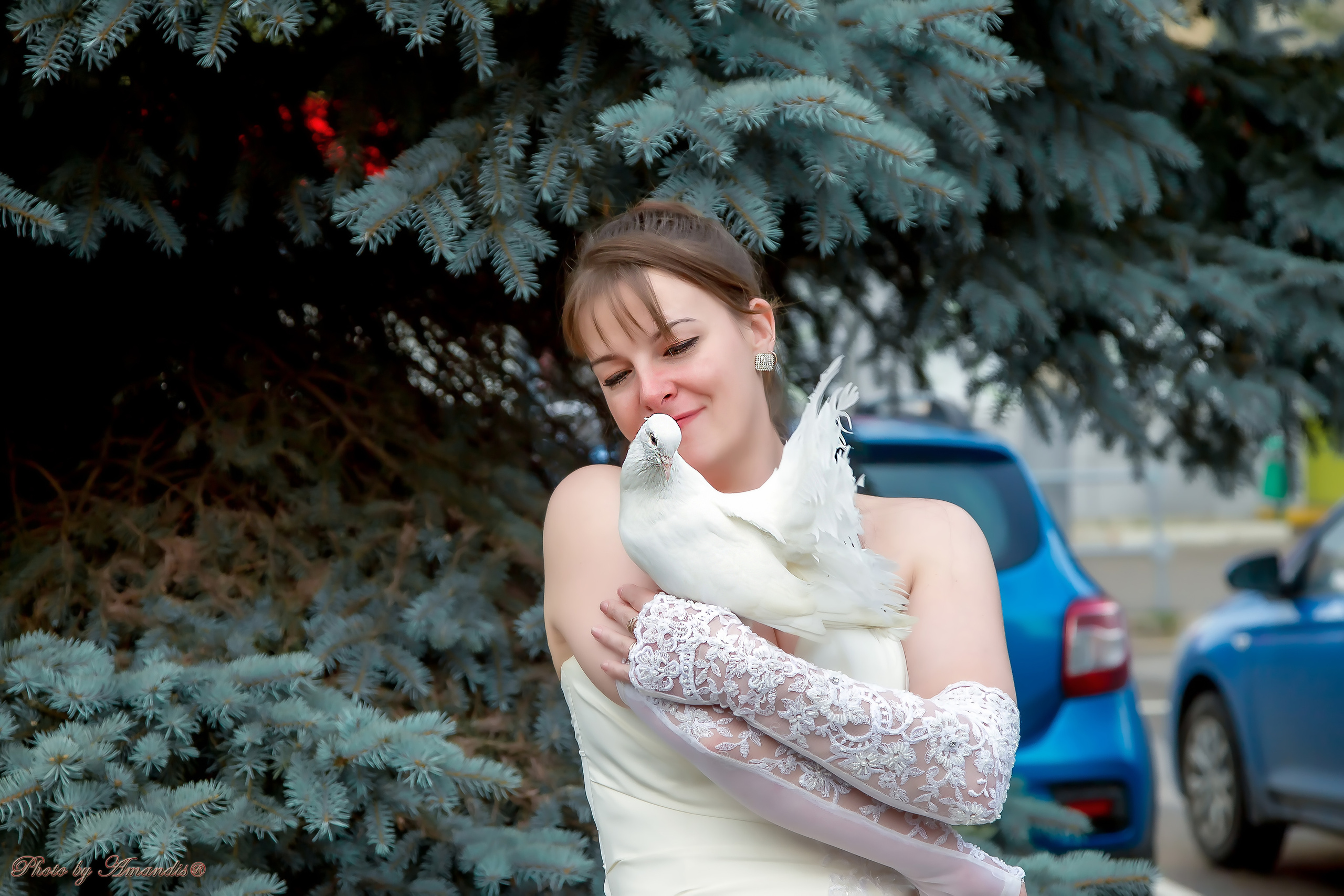 Свадьба Виталия и Екатерины (Москва, август 2020). Репортажная съемка в Москве и области. Анималистика