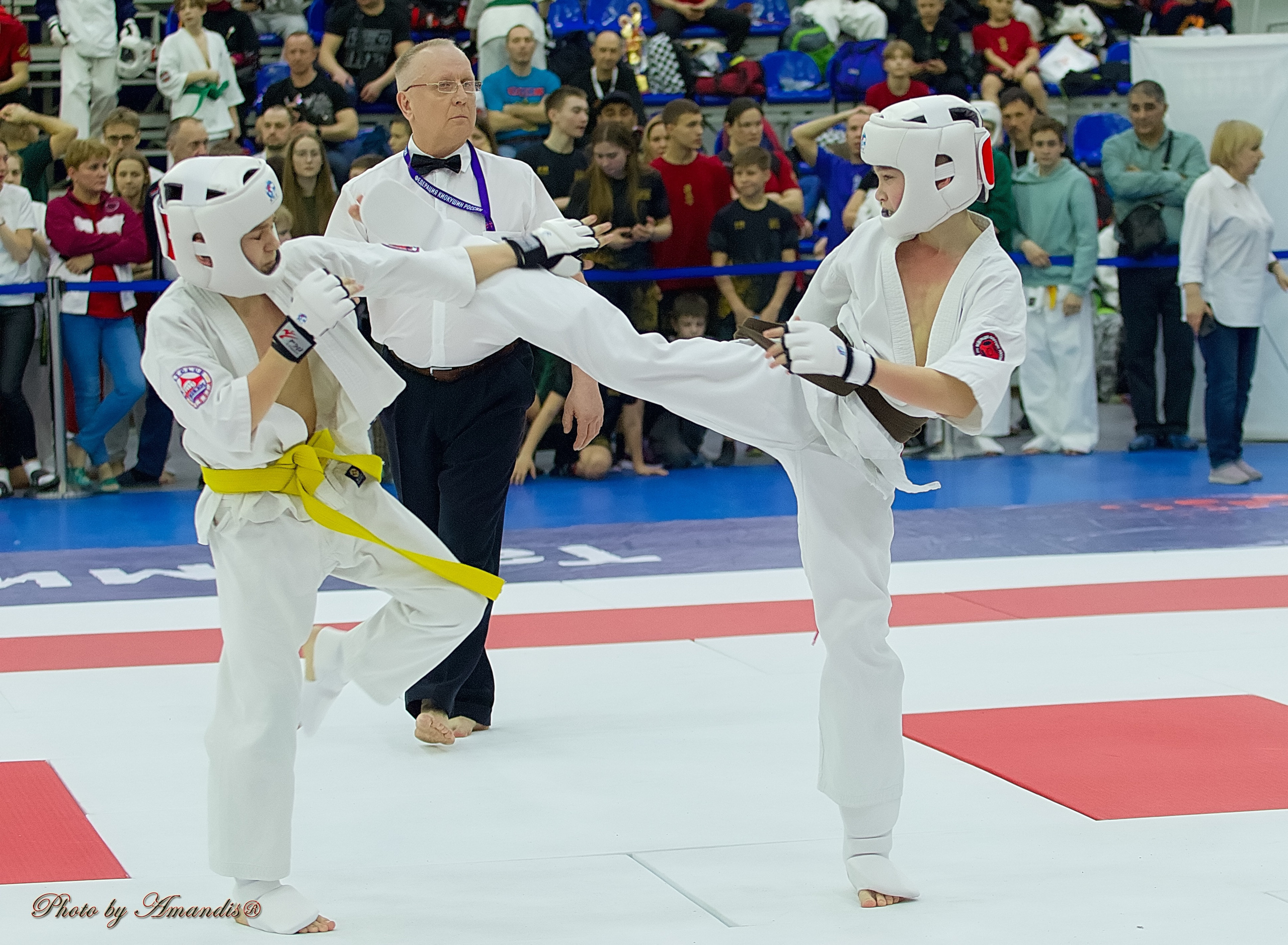 Чемпионат России по Киокушин. Репортажная съемка в Москве и области. Анималистика