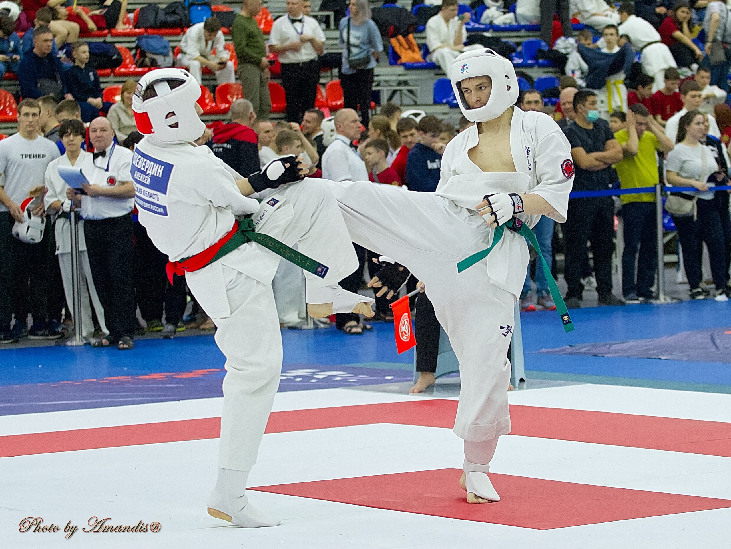 Чемпионат России по Киокушин. Репортажная съемка в Москве и области. Анималистика