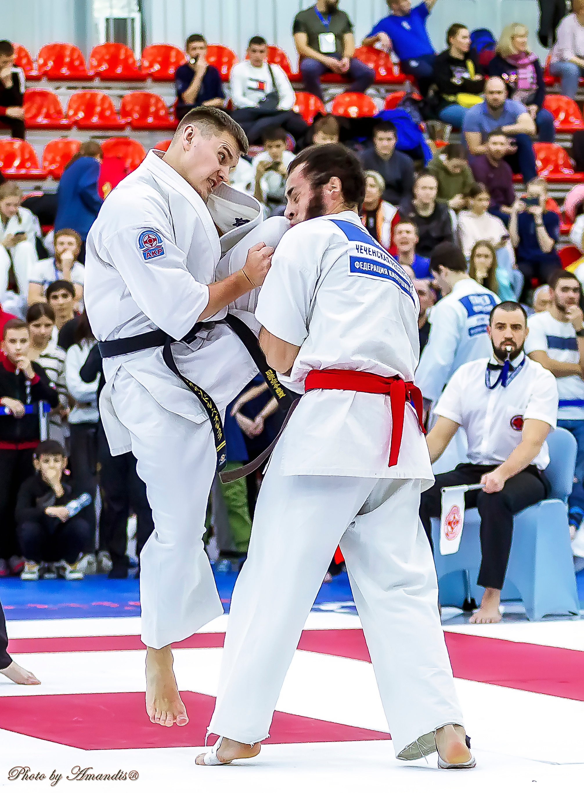 Чемпионат России по Киокушинкай (ноябрь 2022). Репортажная съемка в Москве и области. Анималистика