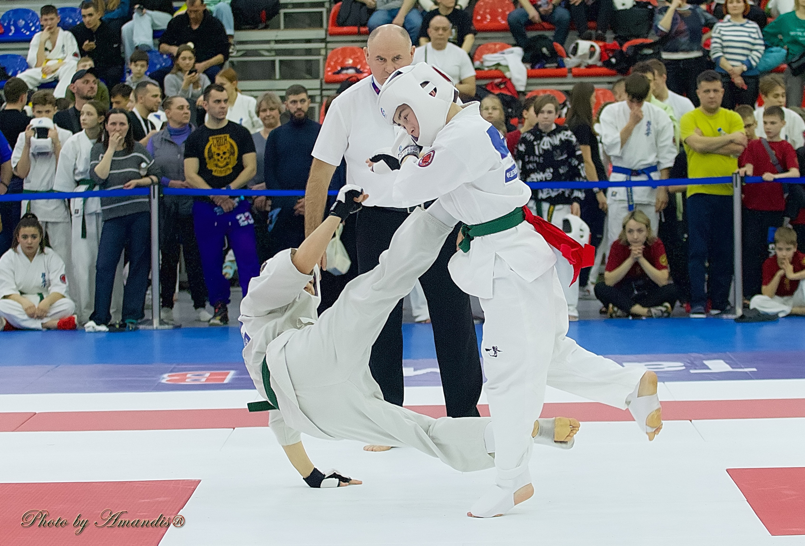 Чемпионат России по Киокушин. Репортажная съемка в Москве и области. Анималистика