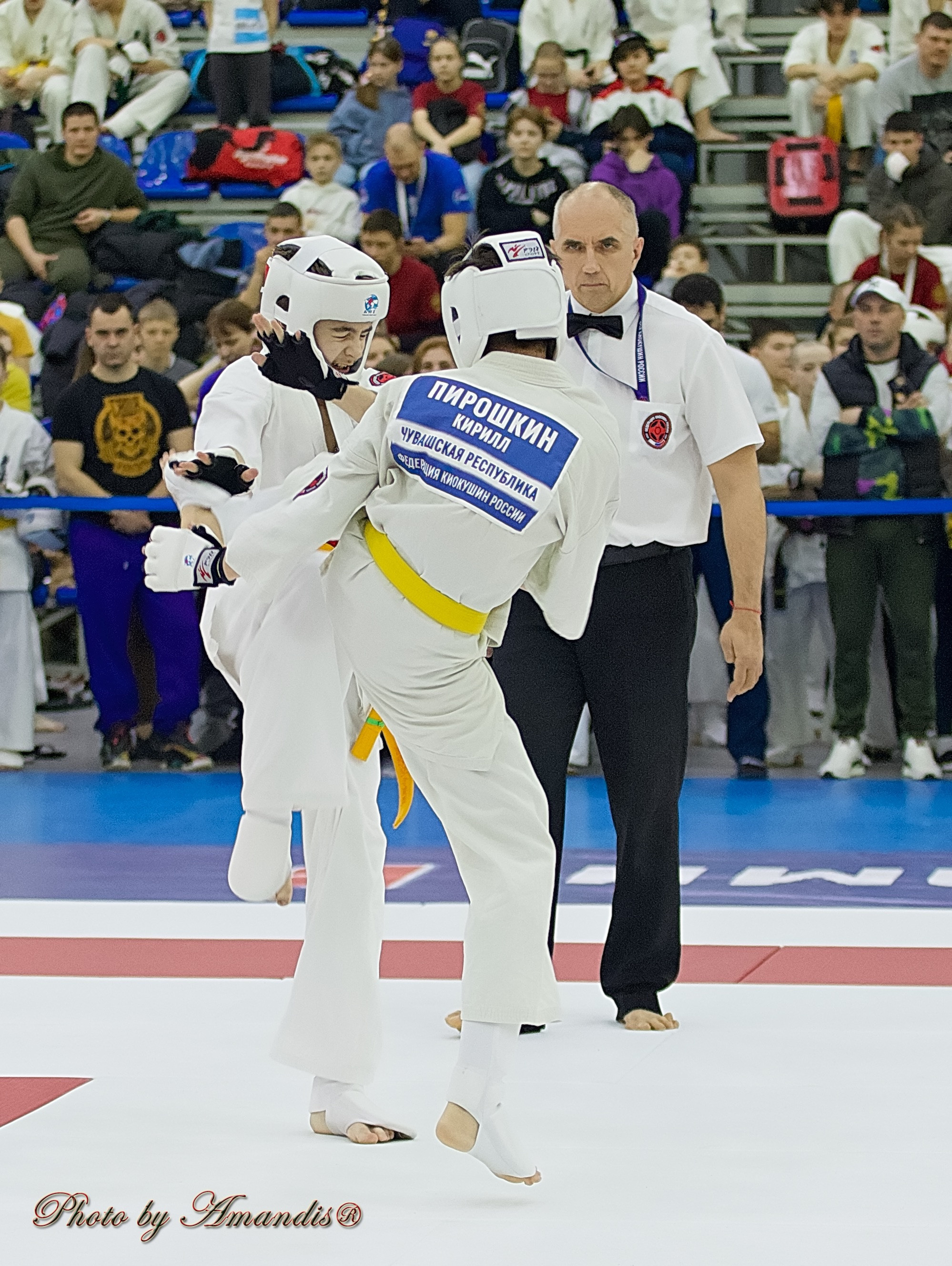 Чемпионат России по Киокушин. Репортажная съемка в Москве и области. Анималистика