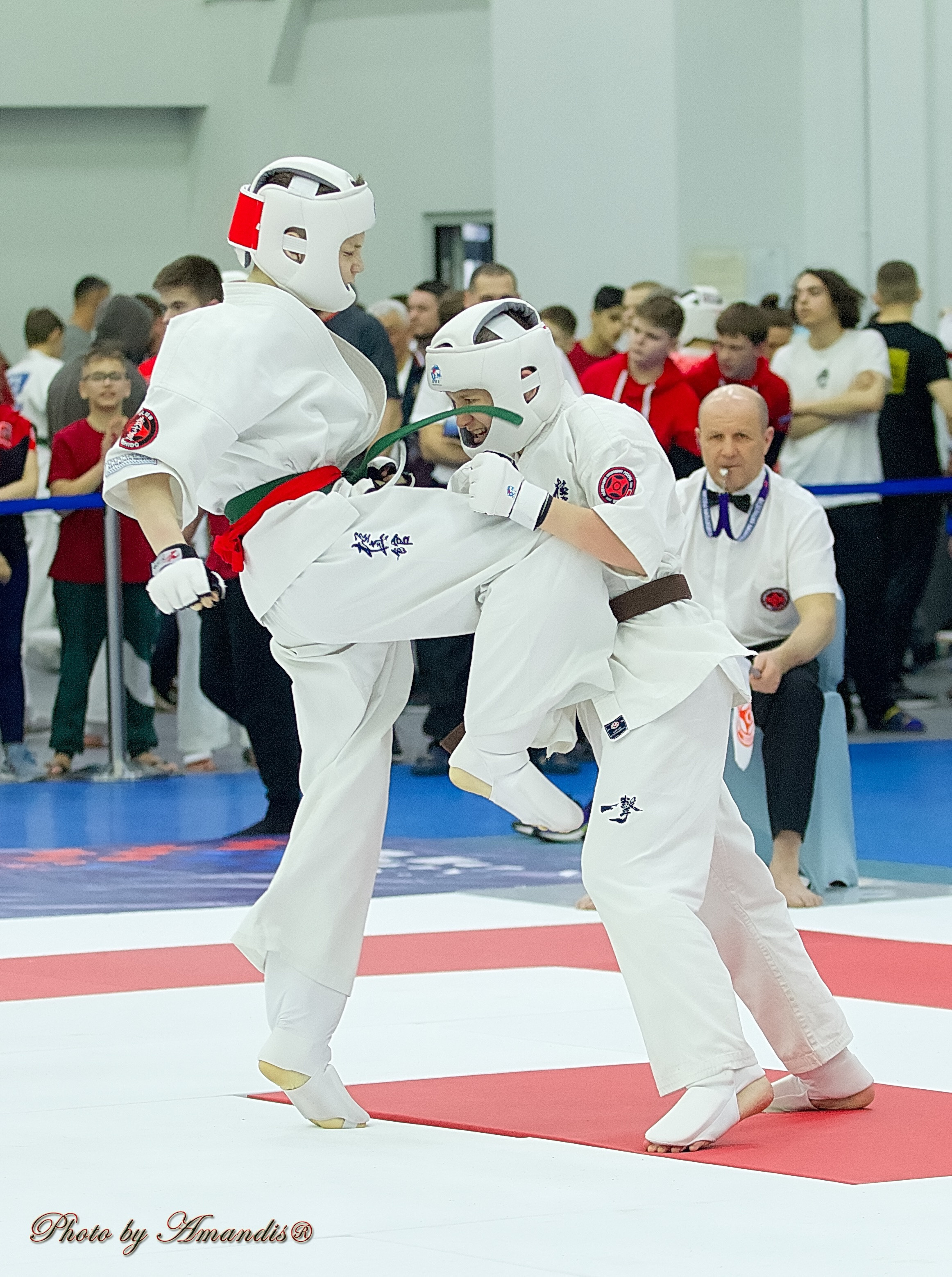 Чемпионат России по Киокушин. Репортажная съемка в Москве и области. Анималистика