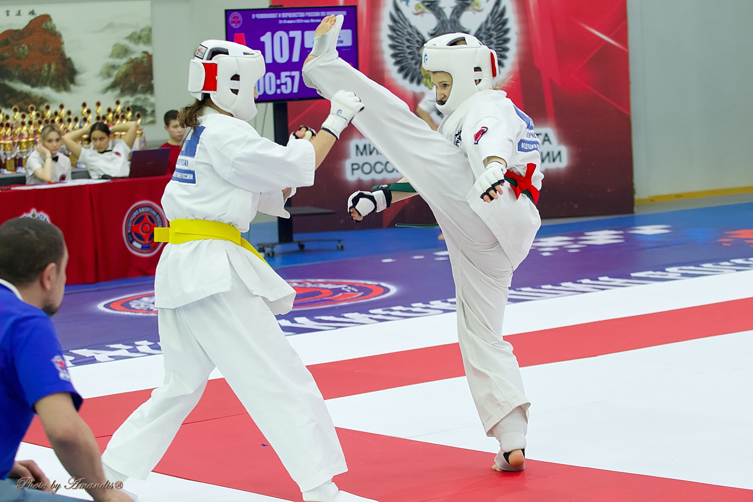 Чемпионат России по Киокушин. Репортажная съемка в Москве и области. Анималистика