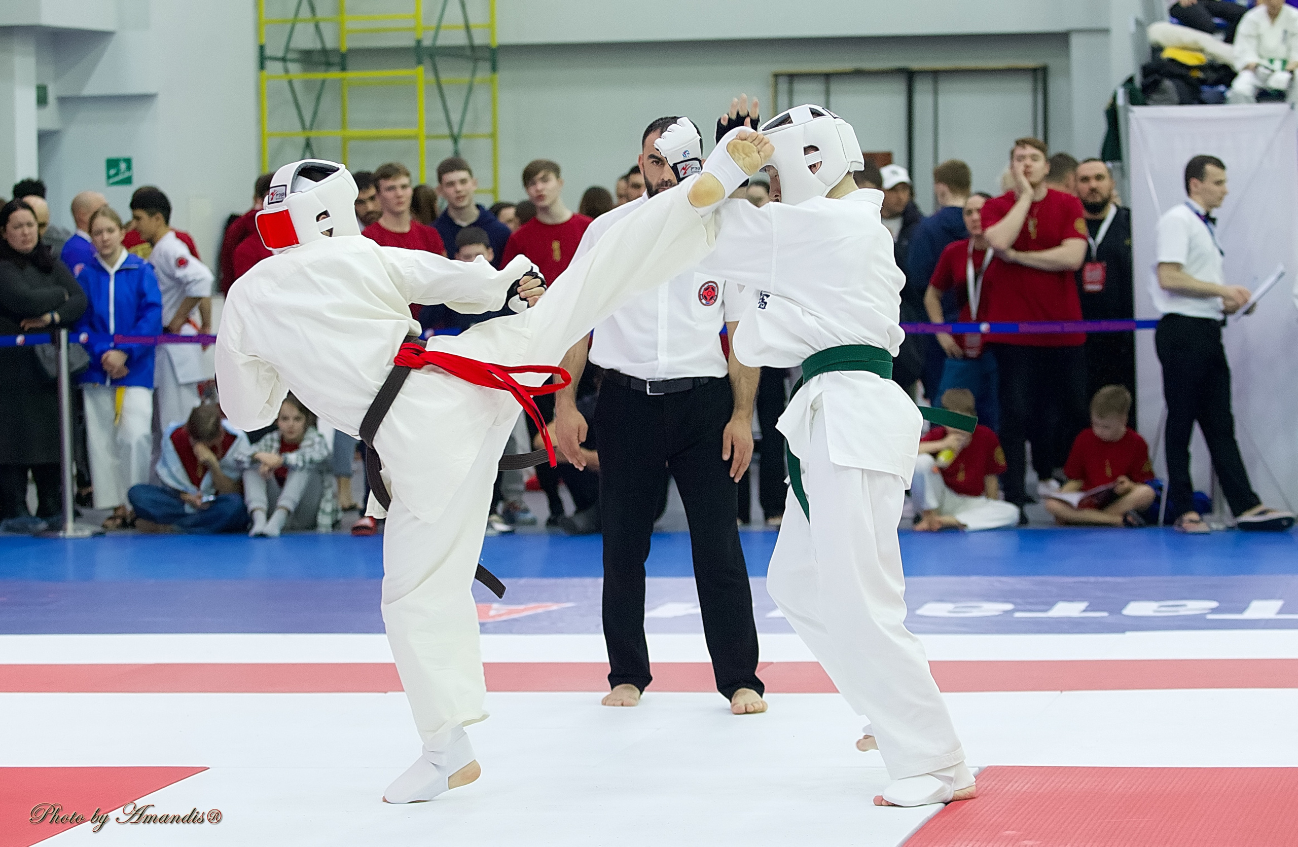 Чемпионат России по Киокушин. Репортажная съемка в Москве и области. Анималистика