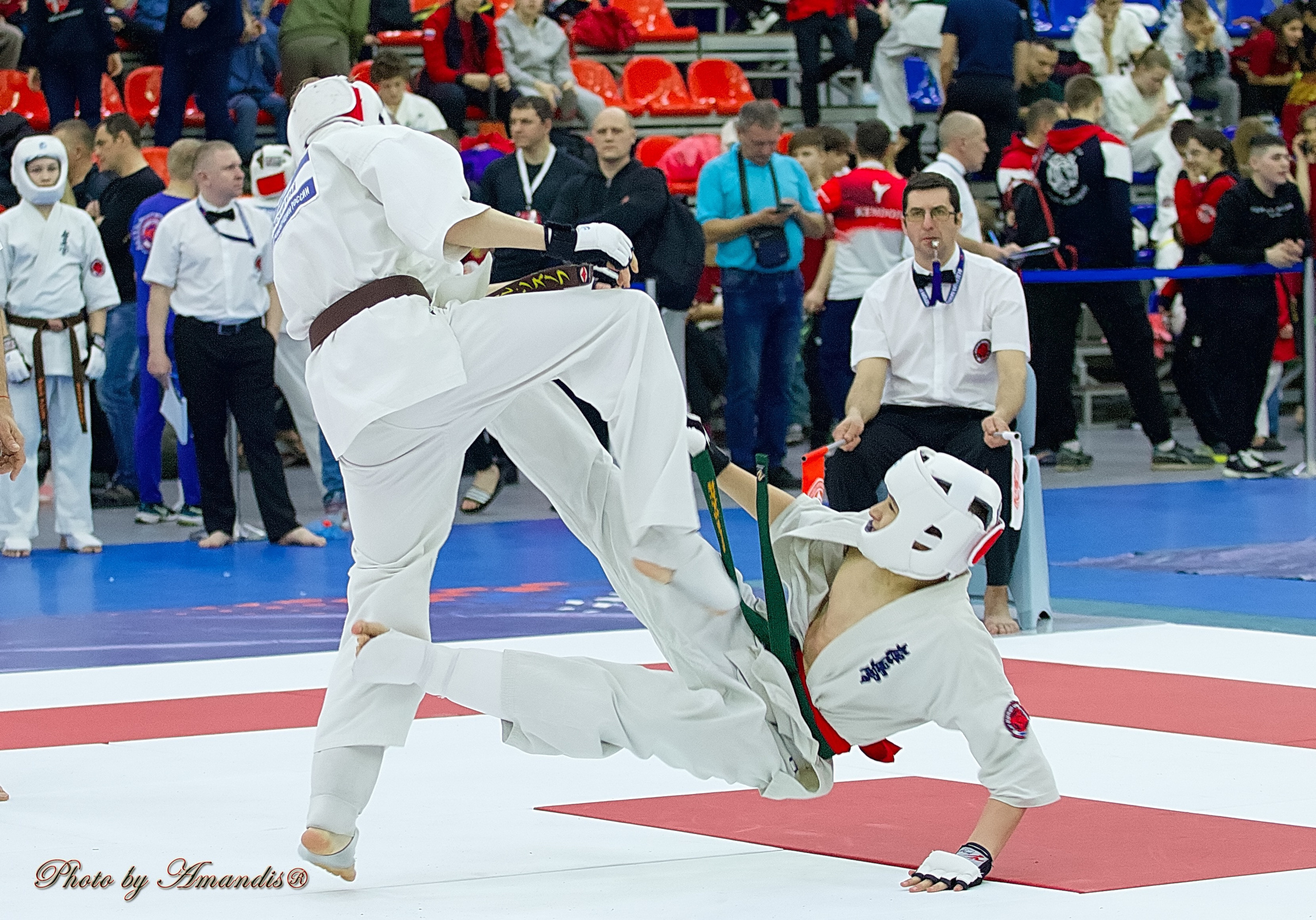 Чемпионат России по Киокушин. Репортажная съемка в Москве и области. Анималистика