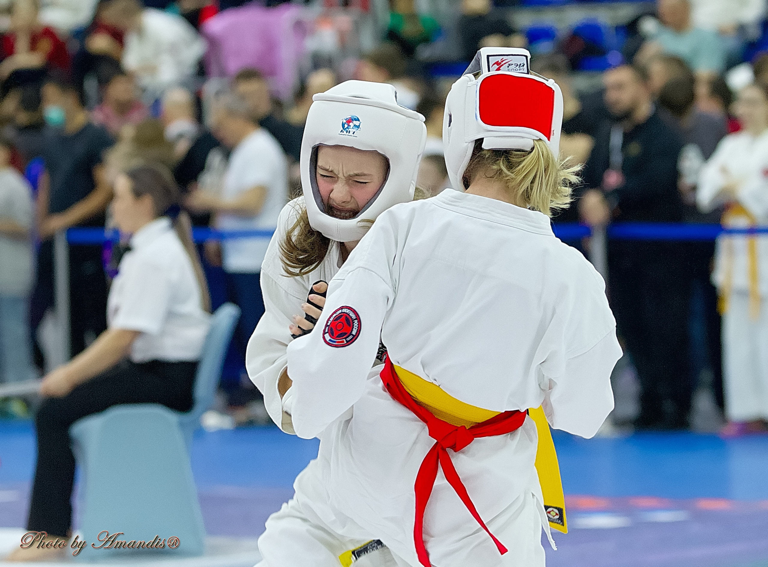 Чемпионат России по Киокушин. Репортажная съемка в Москве и области. Анималистика