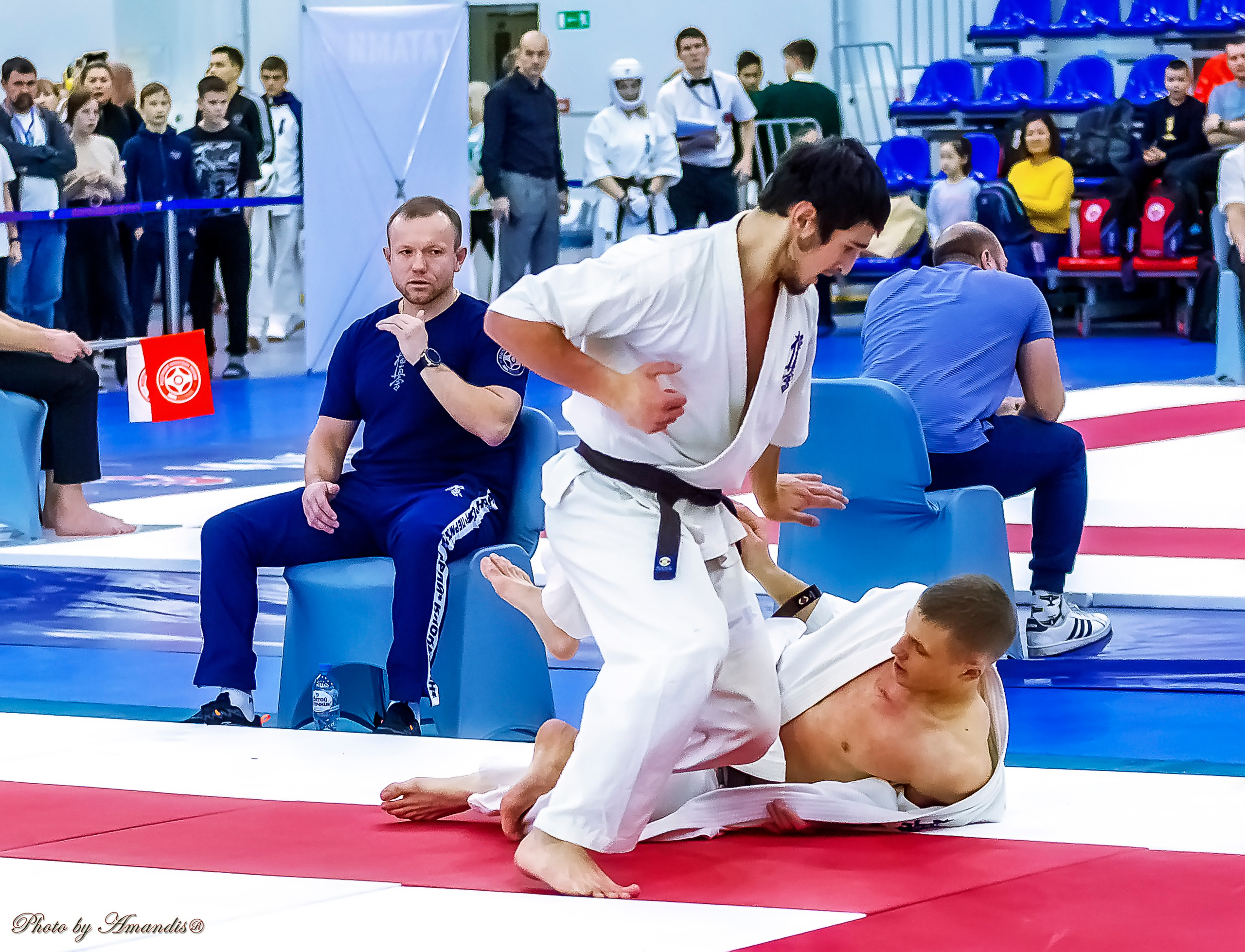 Чемпионат России по Киокушинкай (ноябрь 2022). Репортажная съемка в Москве и области. Анималистика