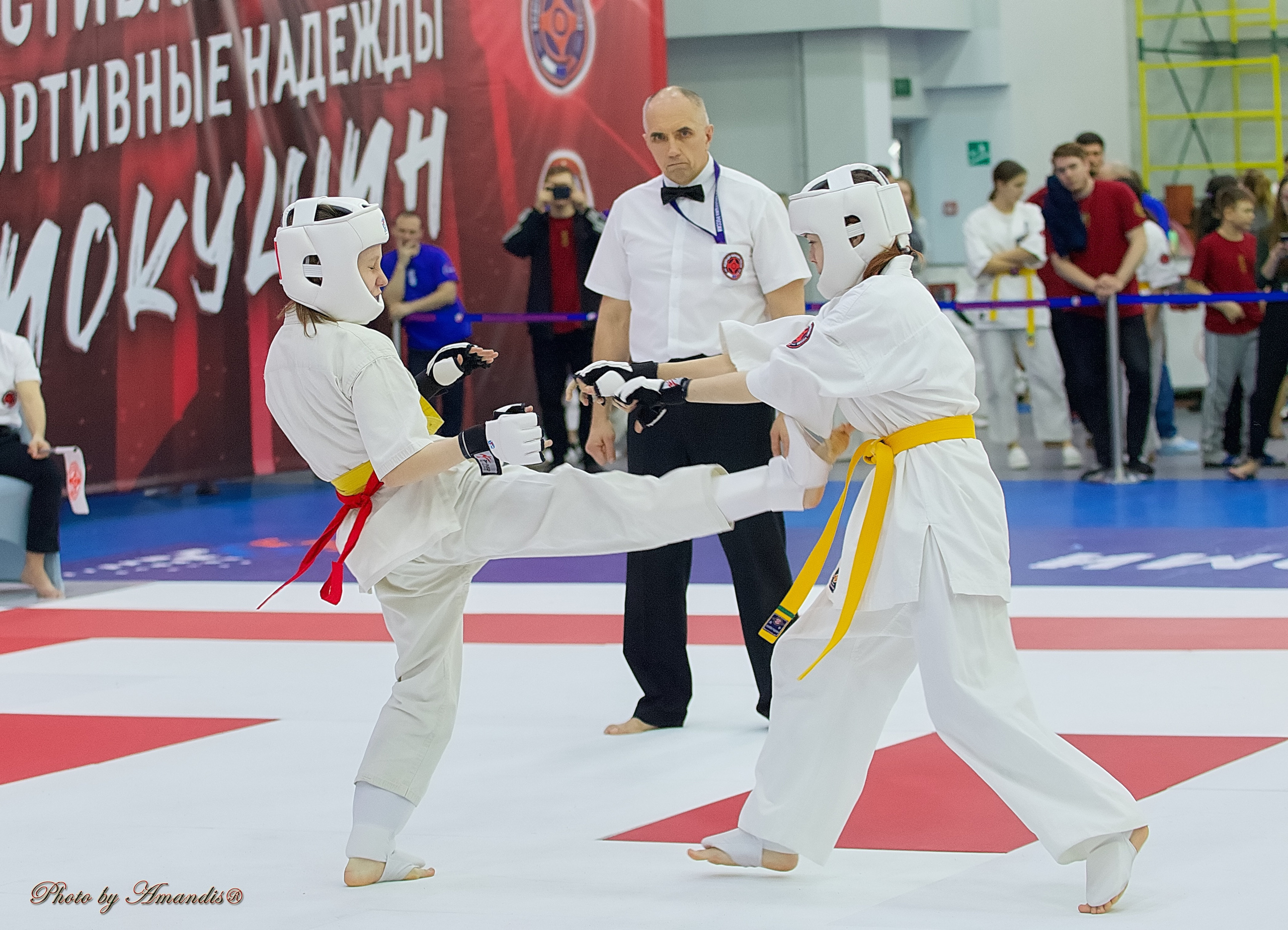 Чемпионат России по Киокушин. Репортажная съемка в Москве и области. Анималистика