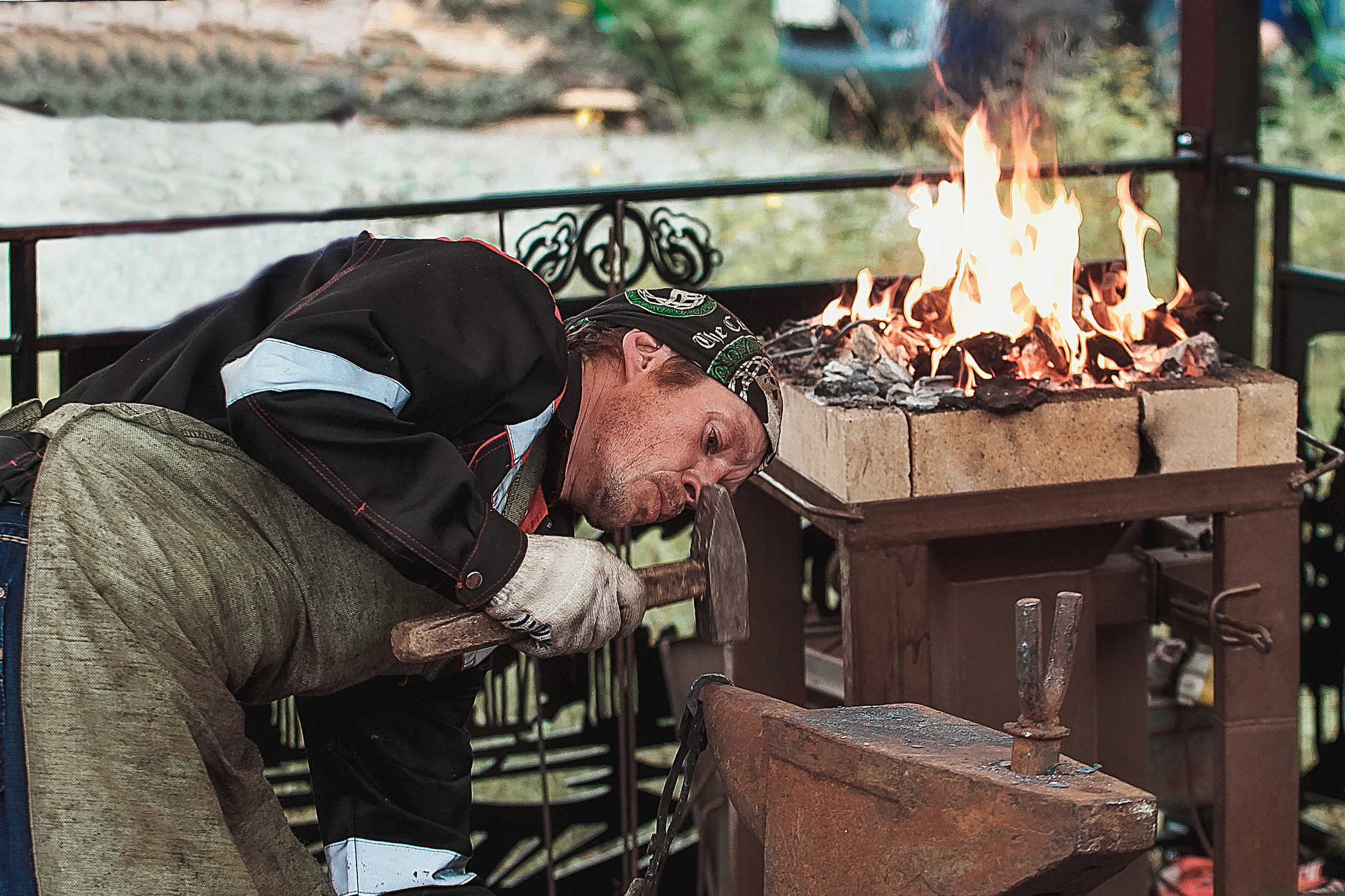 Репортажная съемка в Москве и области. Анималистика