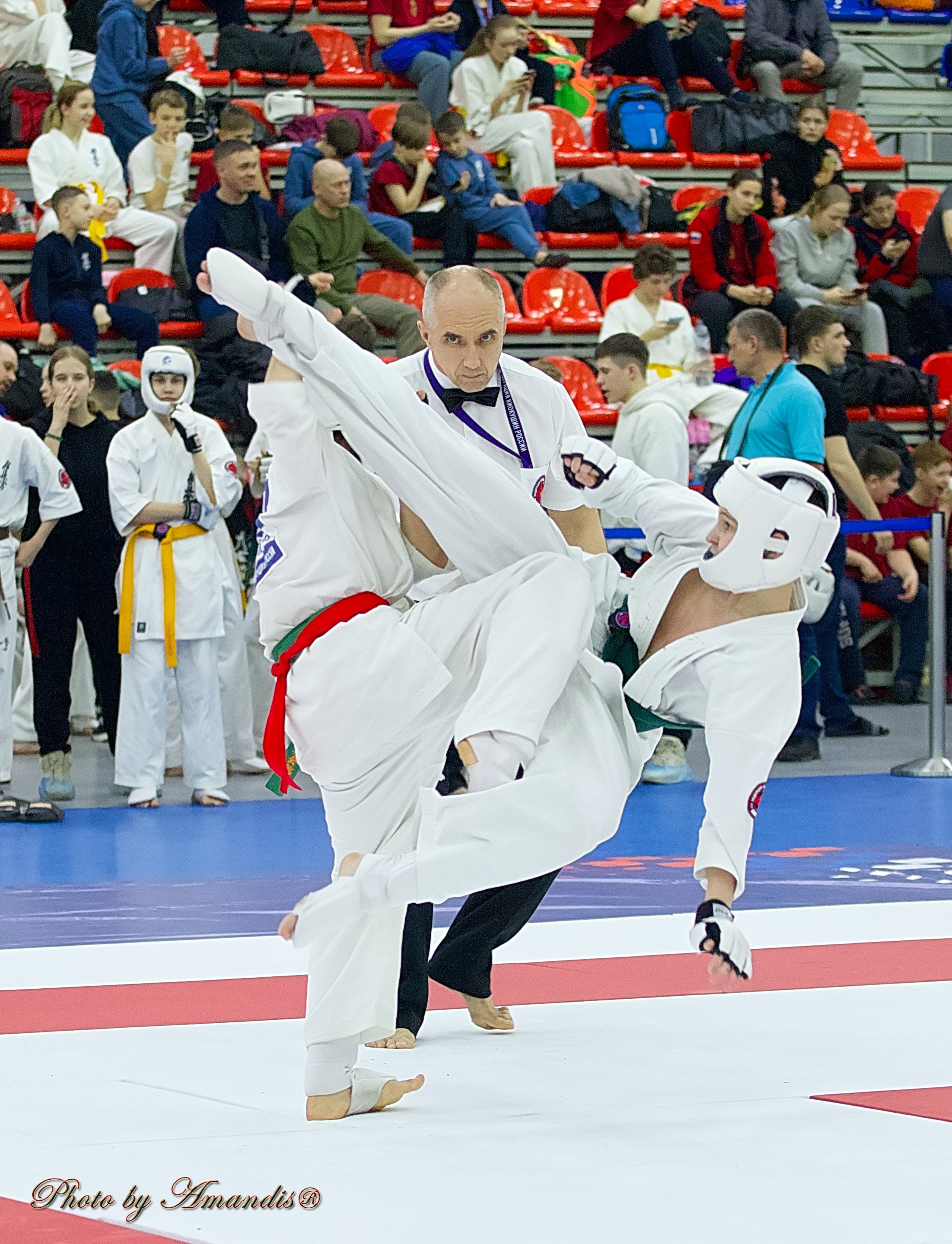 Чемпионат России по Киокушин. Репортажная съемка в Москве и области. Анималистика