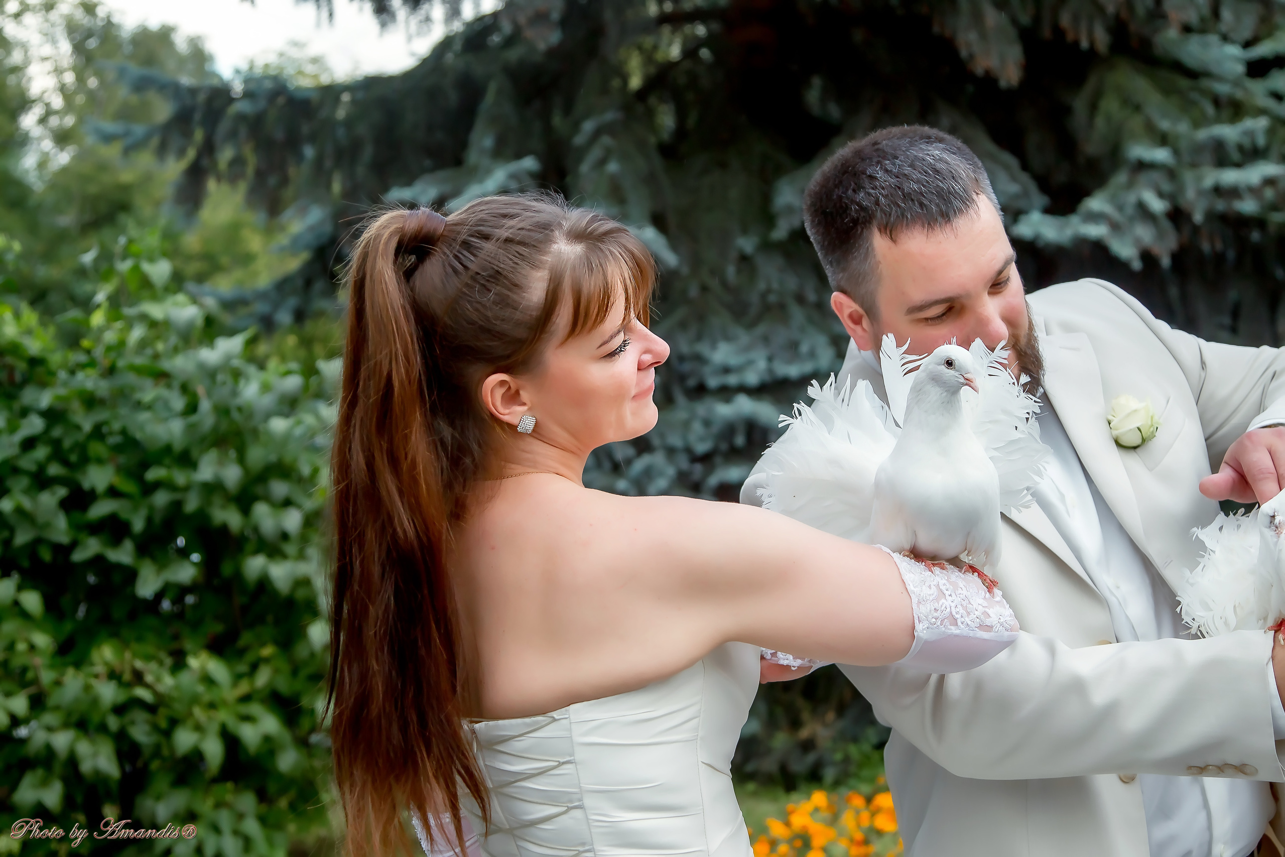 Свадьба Виталия и Екатерины (Москва, август 2020). Репортажная съемка в Москве и области. Анималистика