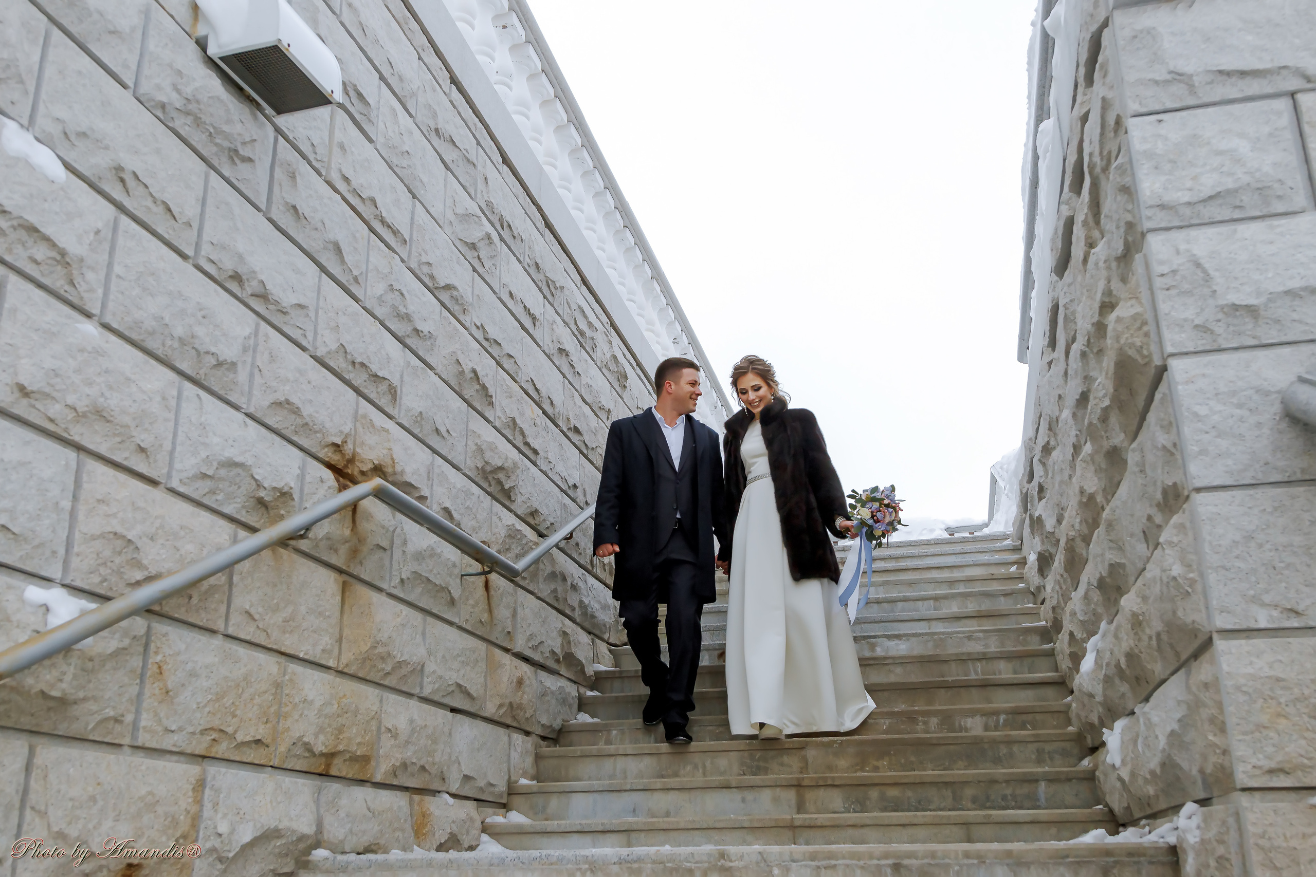 Свадьба Ивана и Марии (Петропавловск-Камчатский, январь 2019). Репортажная съемка в Москве и области. Анималистика